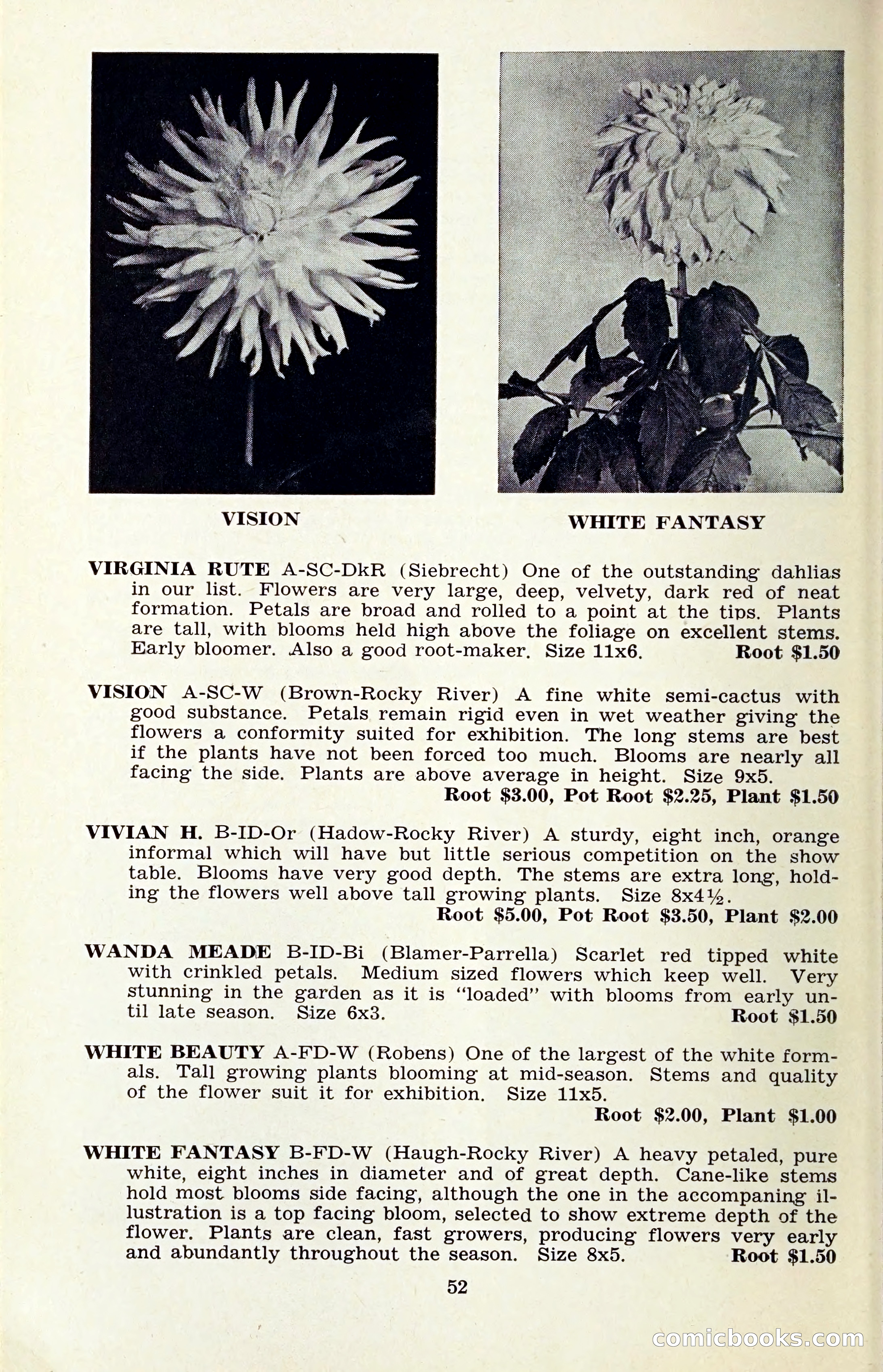 The Dahlia Blue Book for 1959 — page 55 of 69