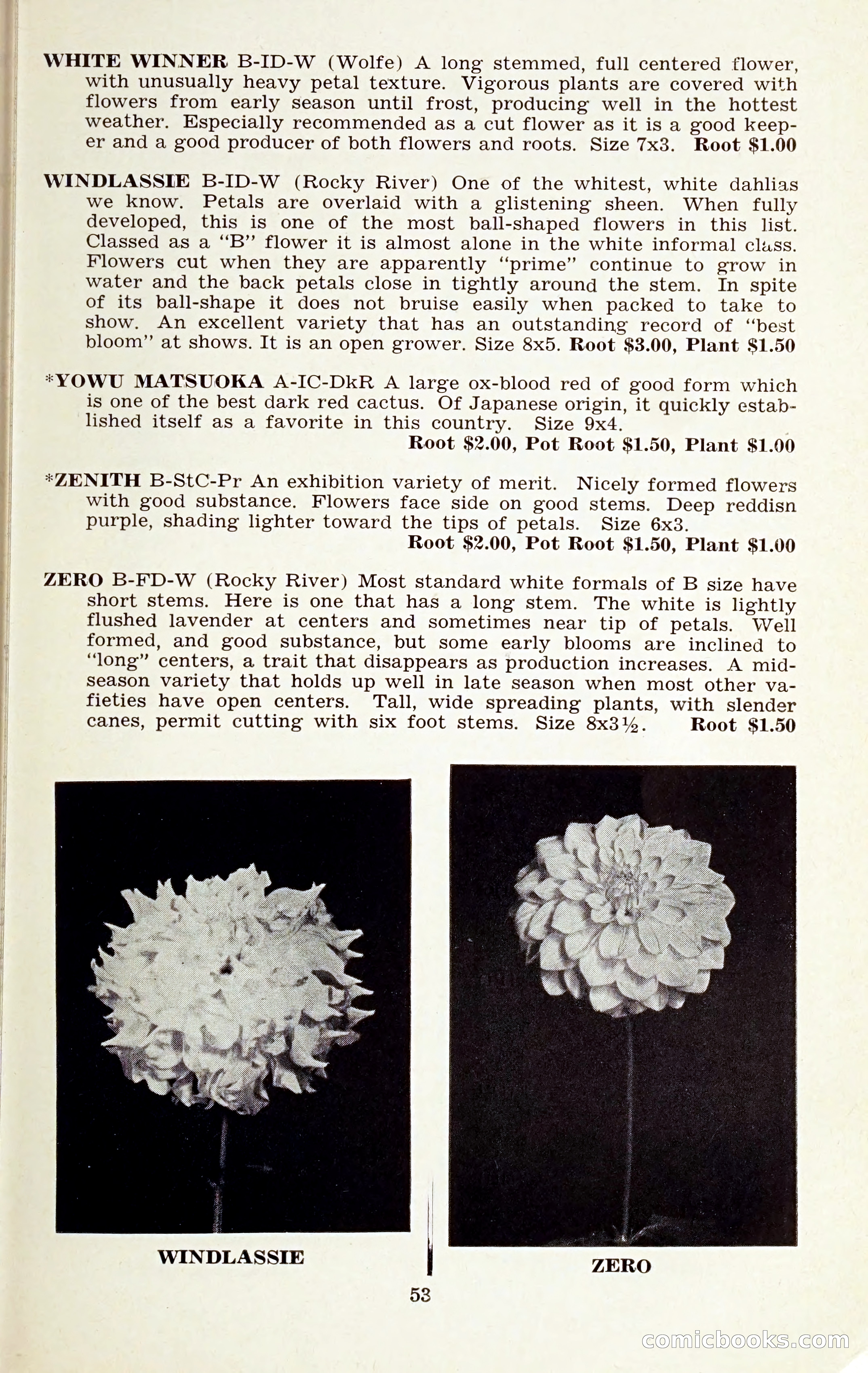 The Dahlia Blue Book for 1959 — page 56 of 69