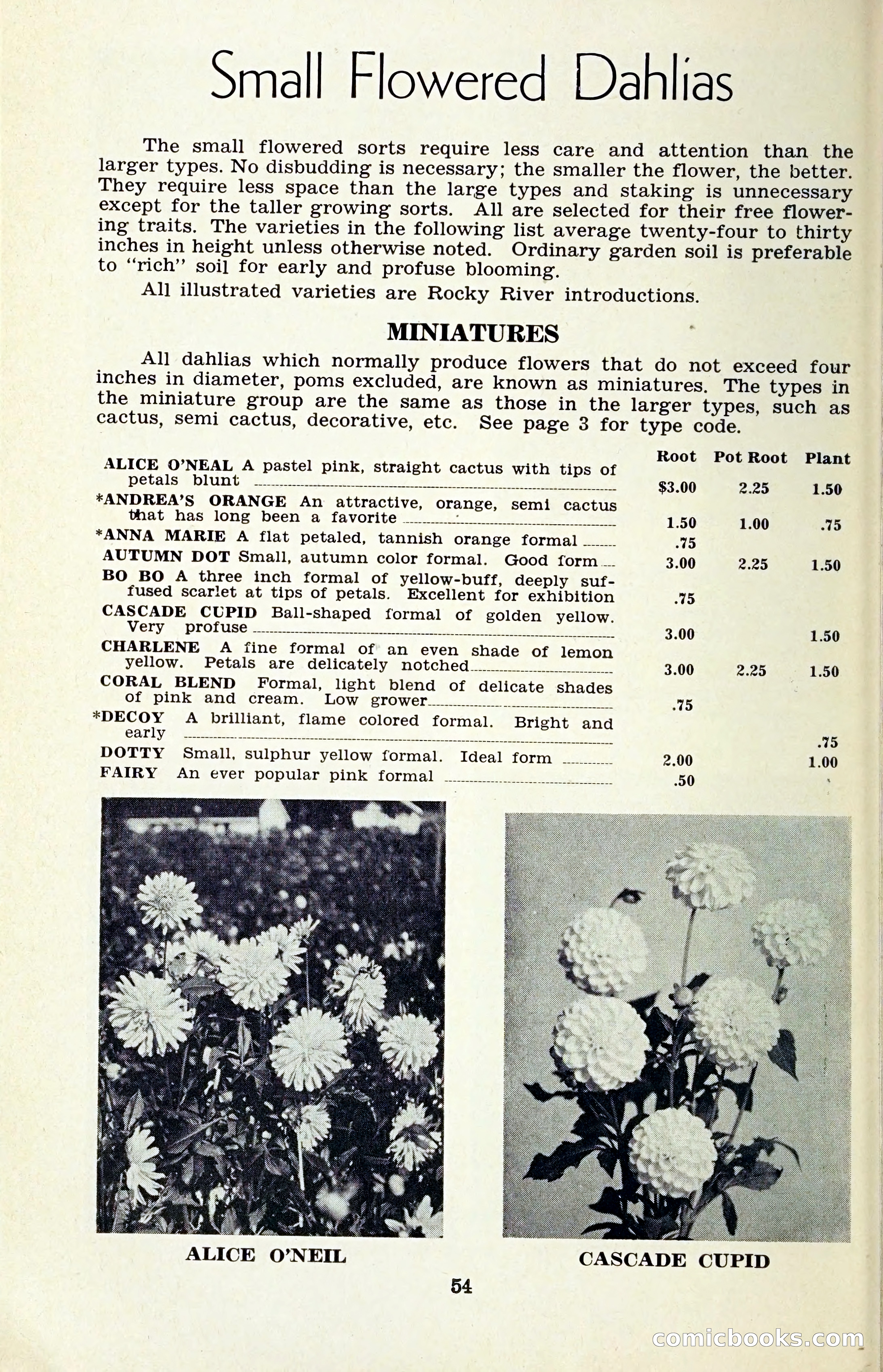 The Dahlia Blue Book for 1959 — page 57 of 69