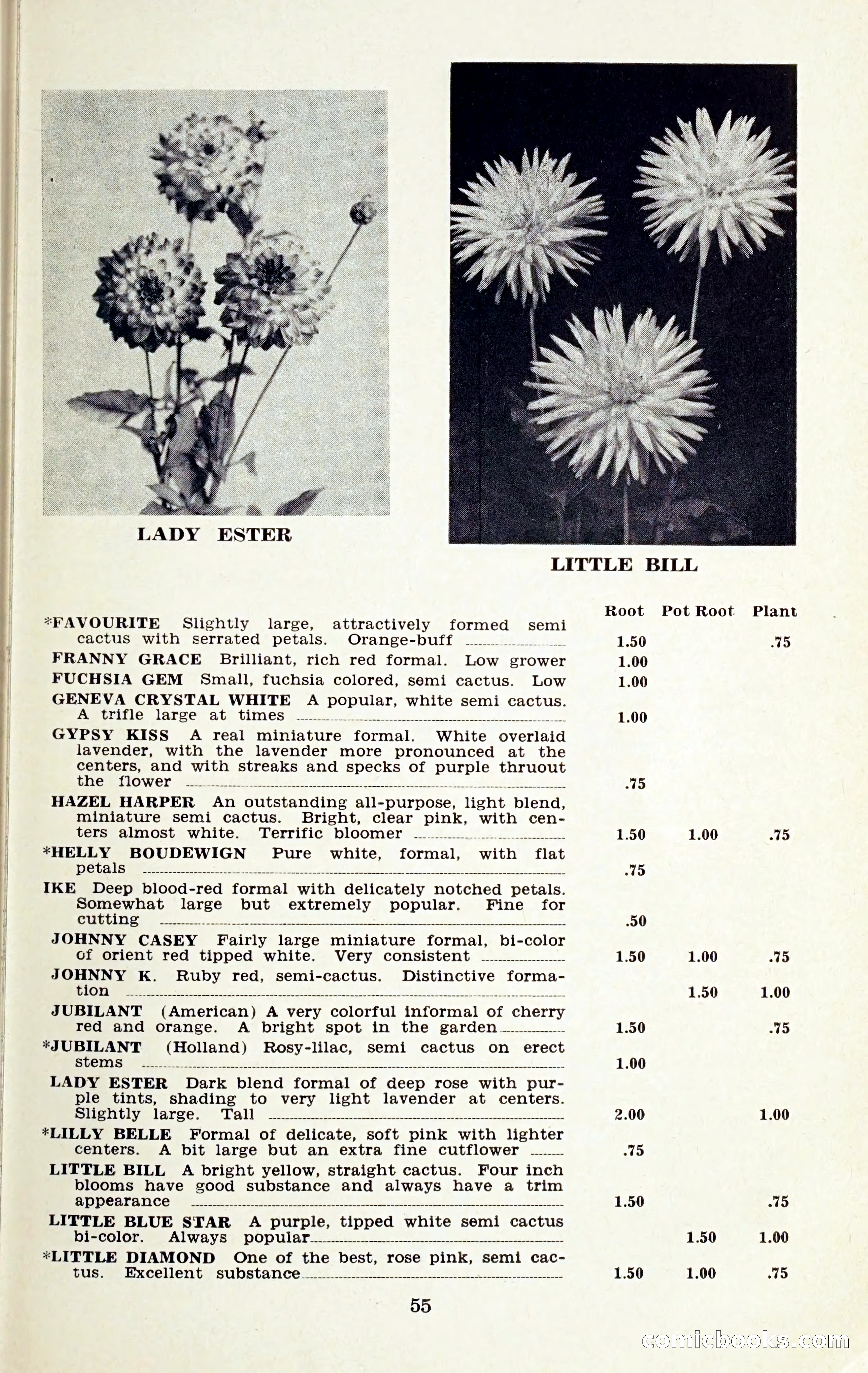 The Dahlia Blue Book for 1959 — page 58 of 69