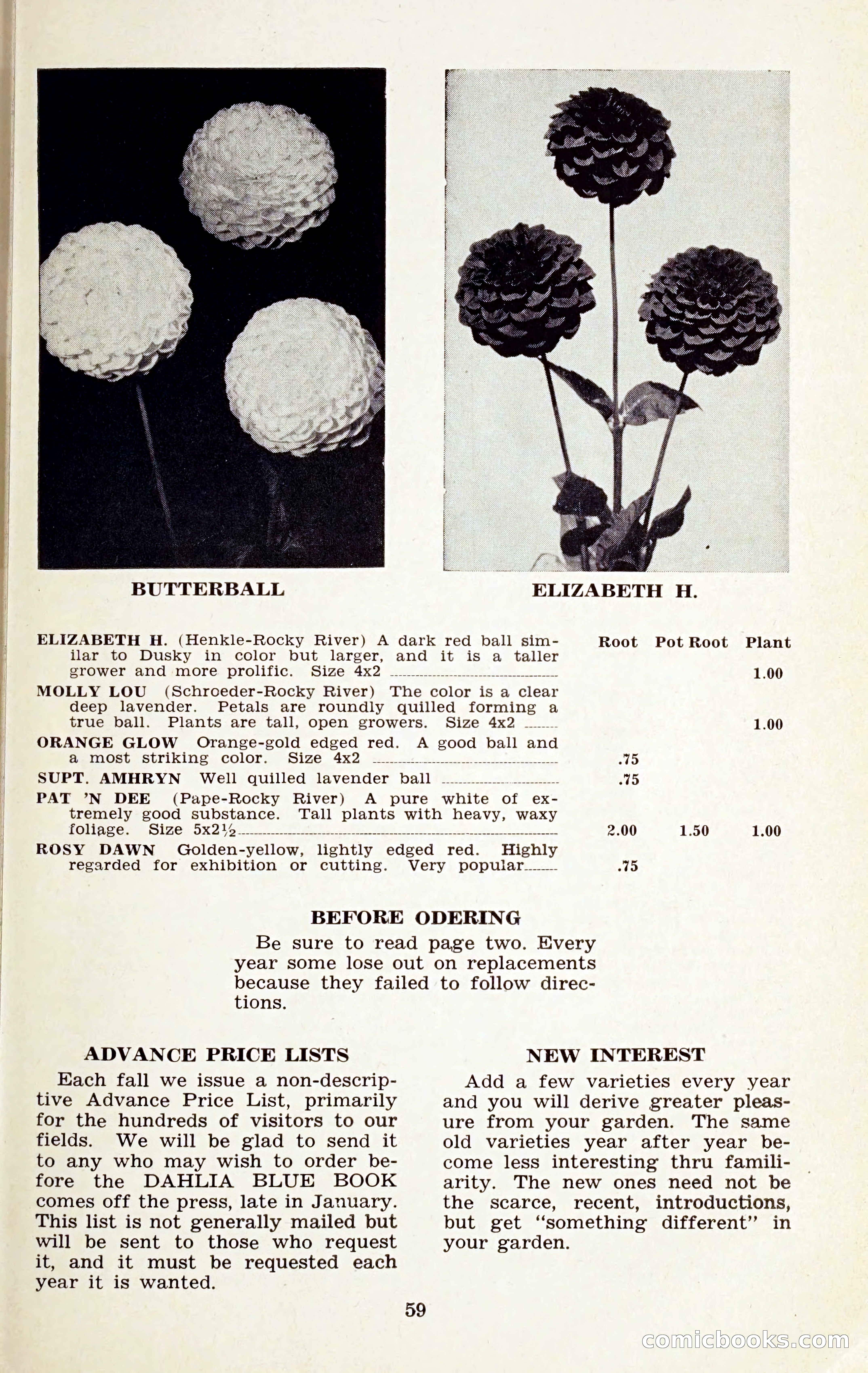 The Dahlia Blue Book for 1959 — page 62 of 69