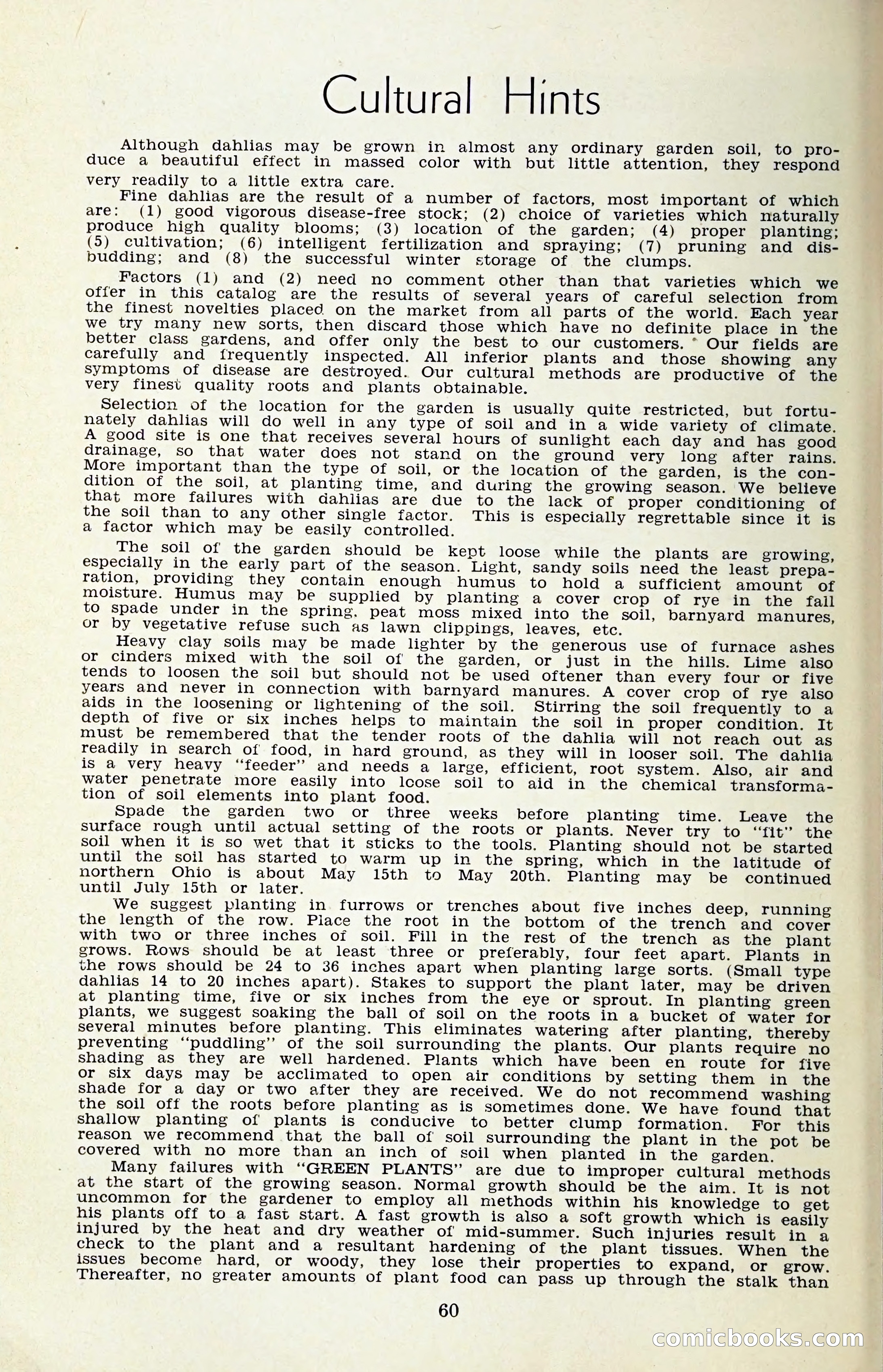 The Dahlia Blue Book for 1959 — page 63 of 69