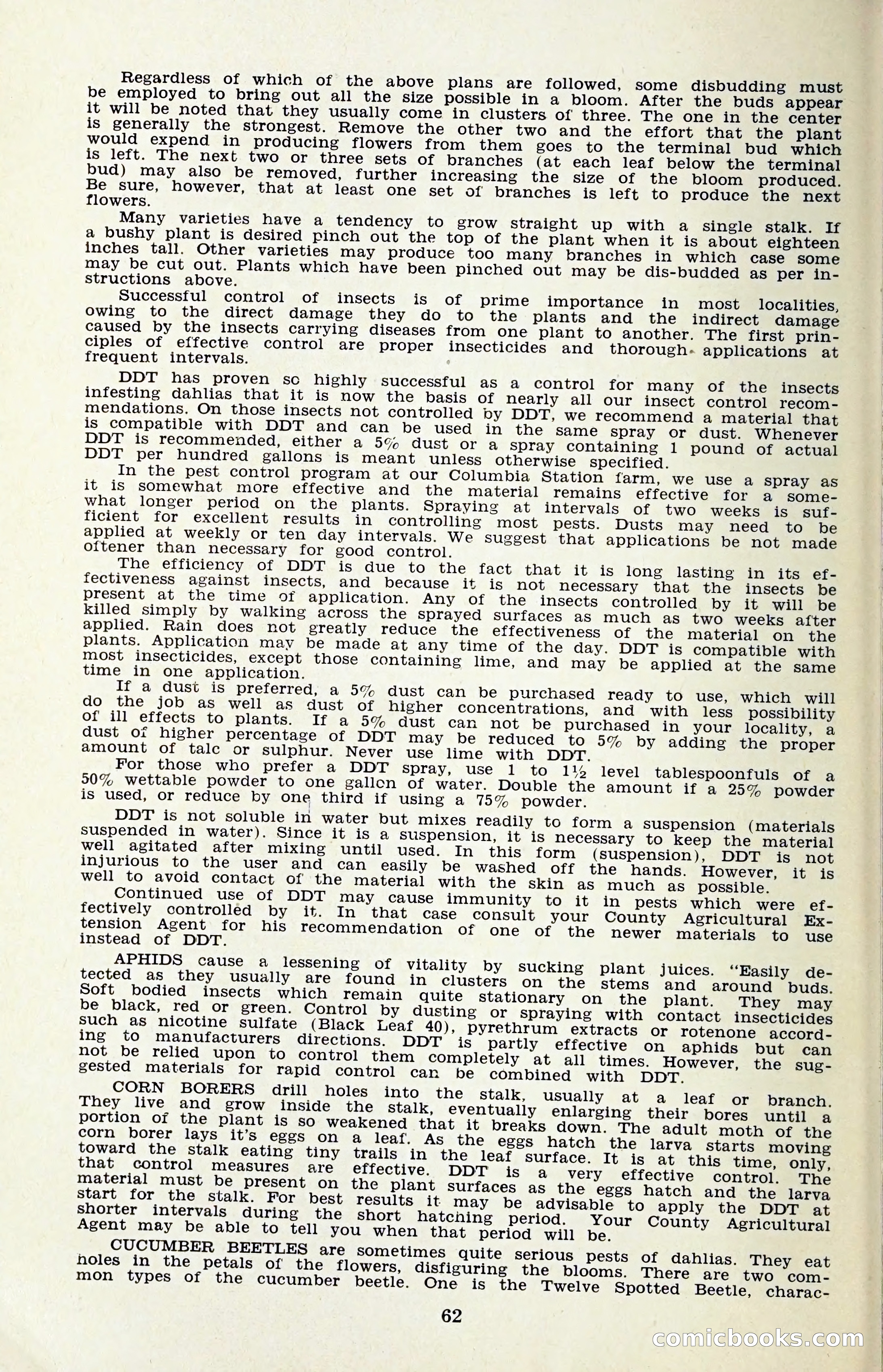 The Dahlia Blue Book for 1959 — page 65 of 69