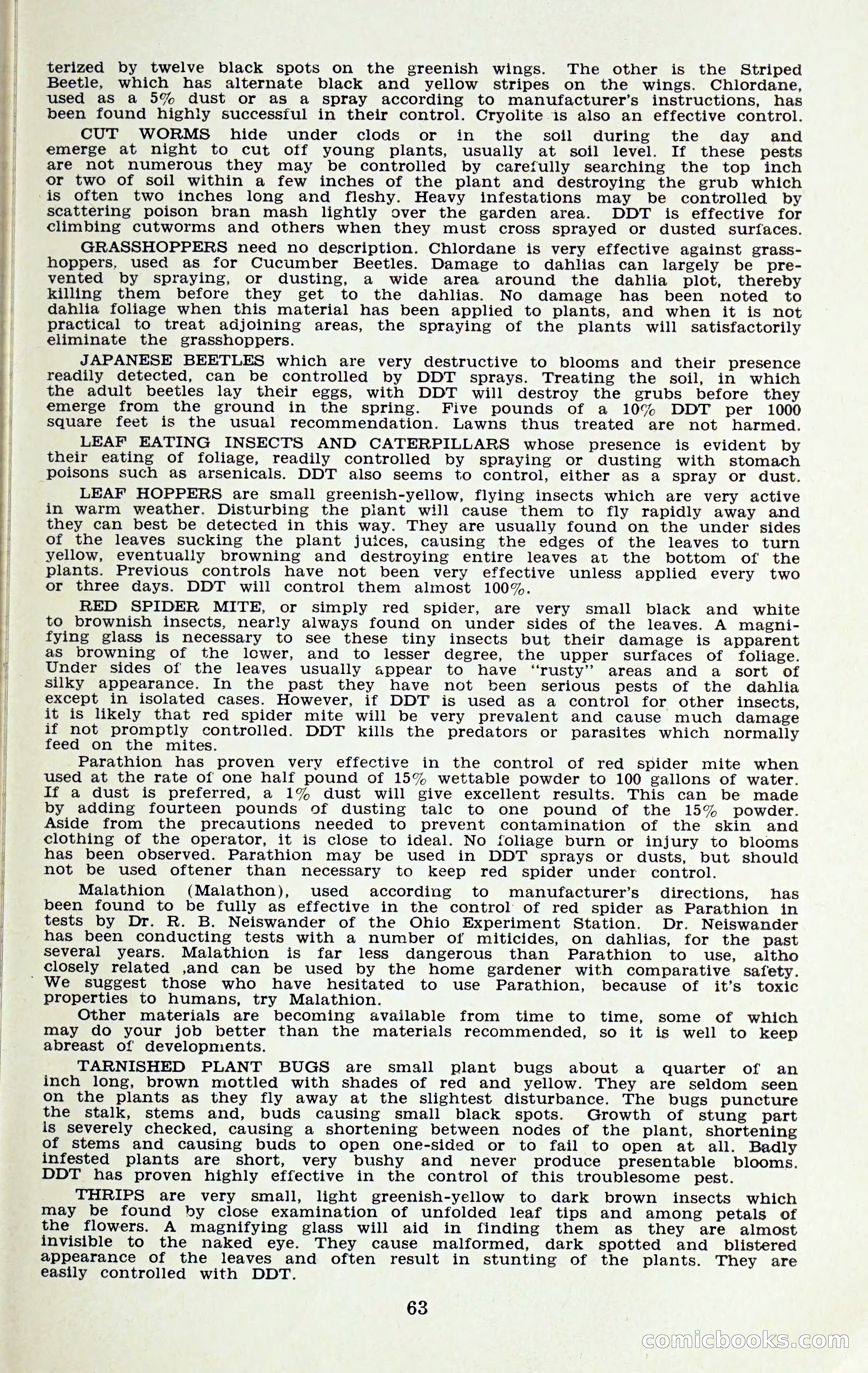 The Dahlia Blue Book for 1959 — page 66 of 69