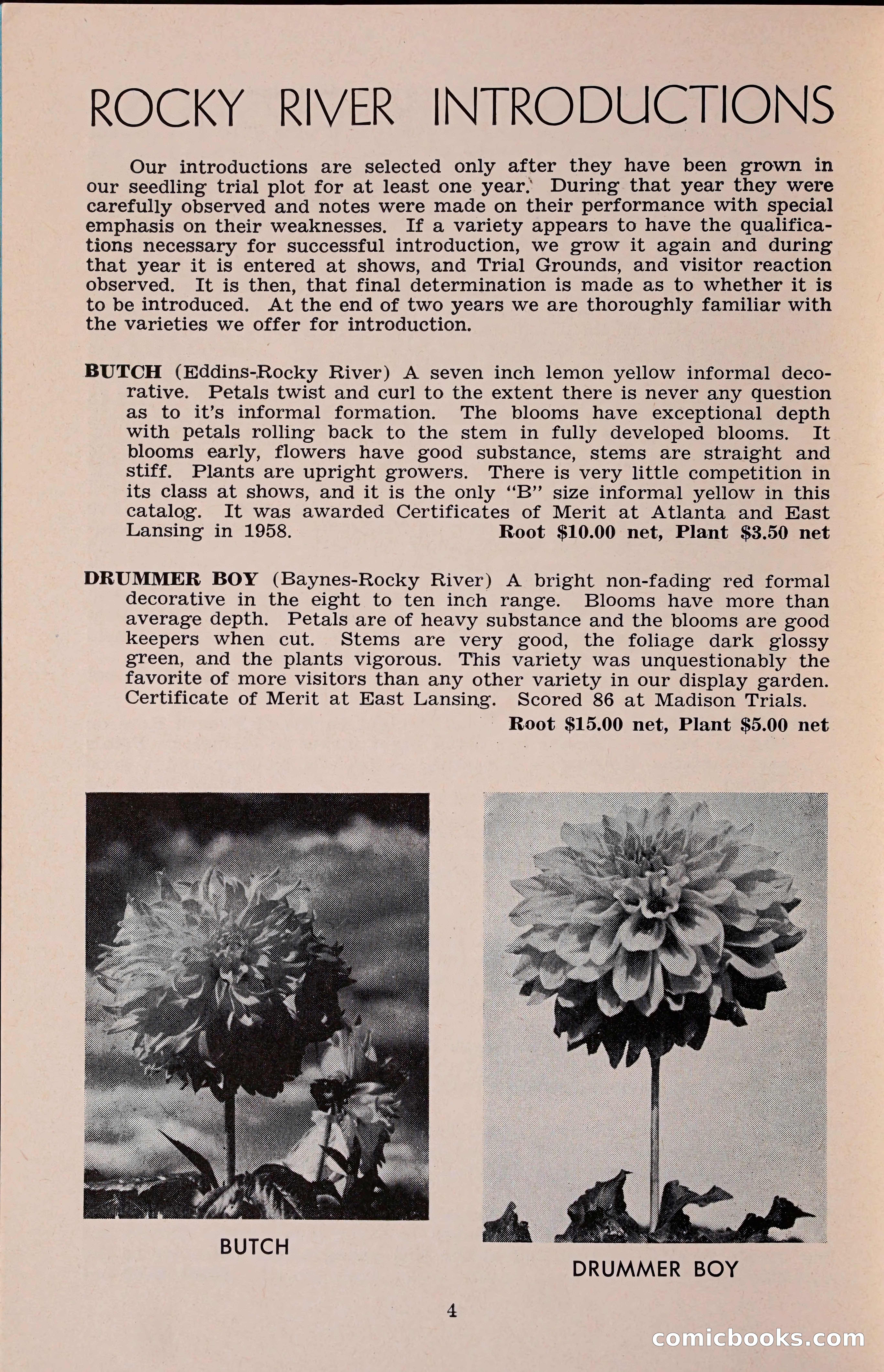The Dahlia Blue Book for 1960 — page 7 of 69