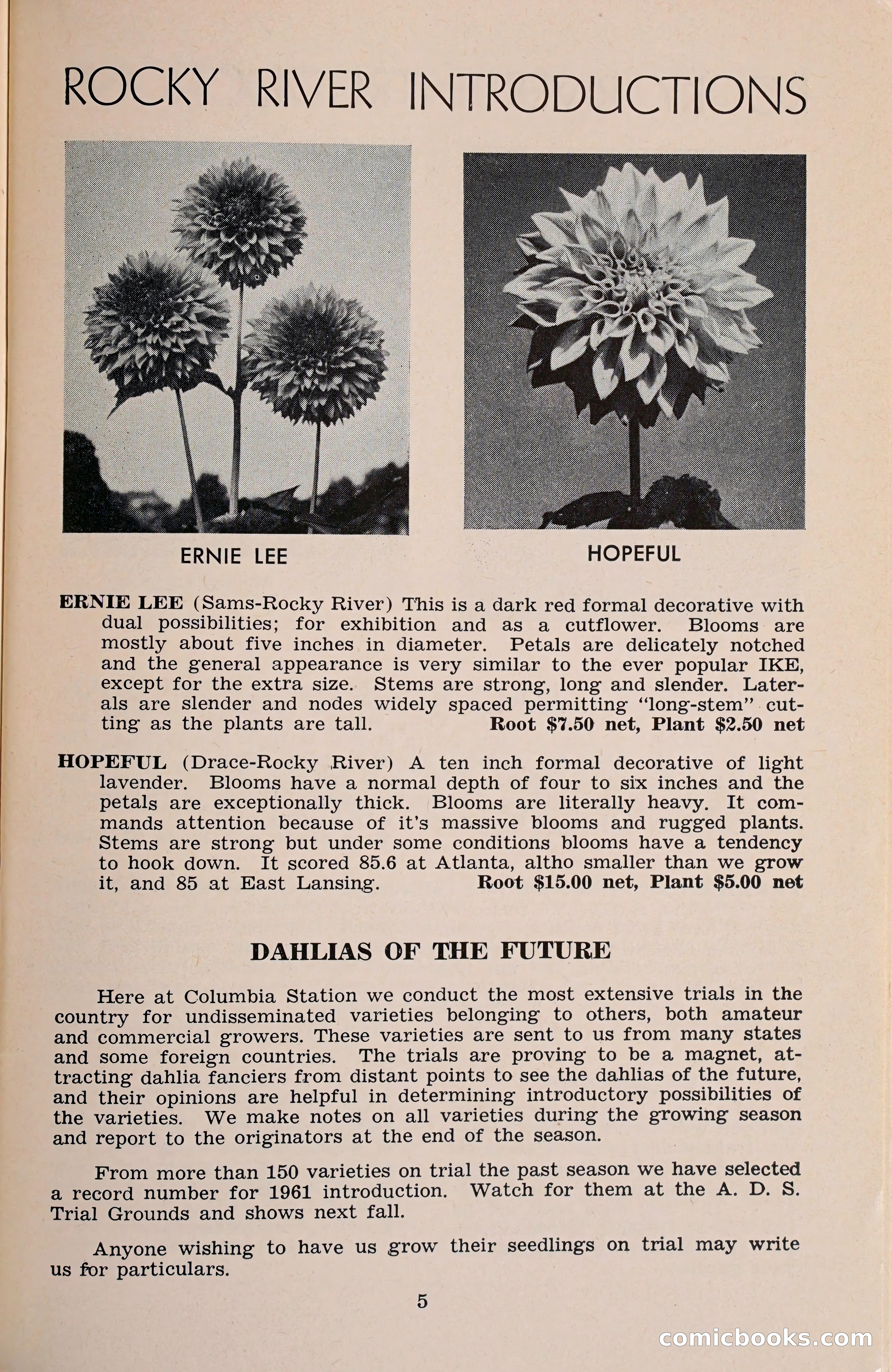 The Dahlia Blue Book for 1960 — page 8 of 69