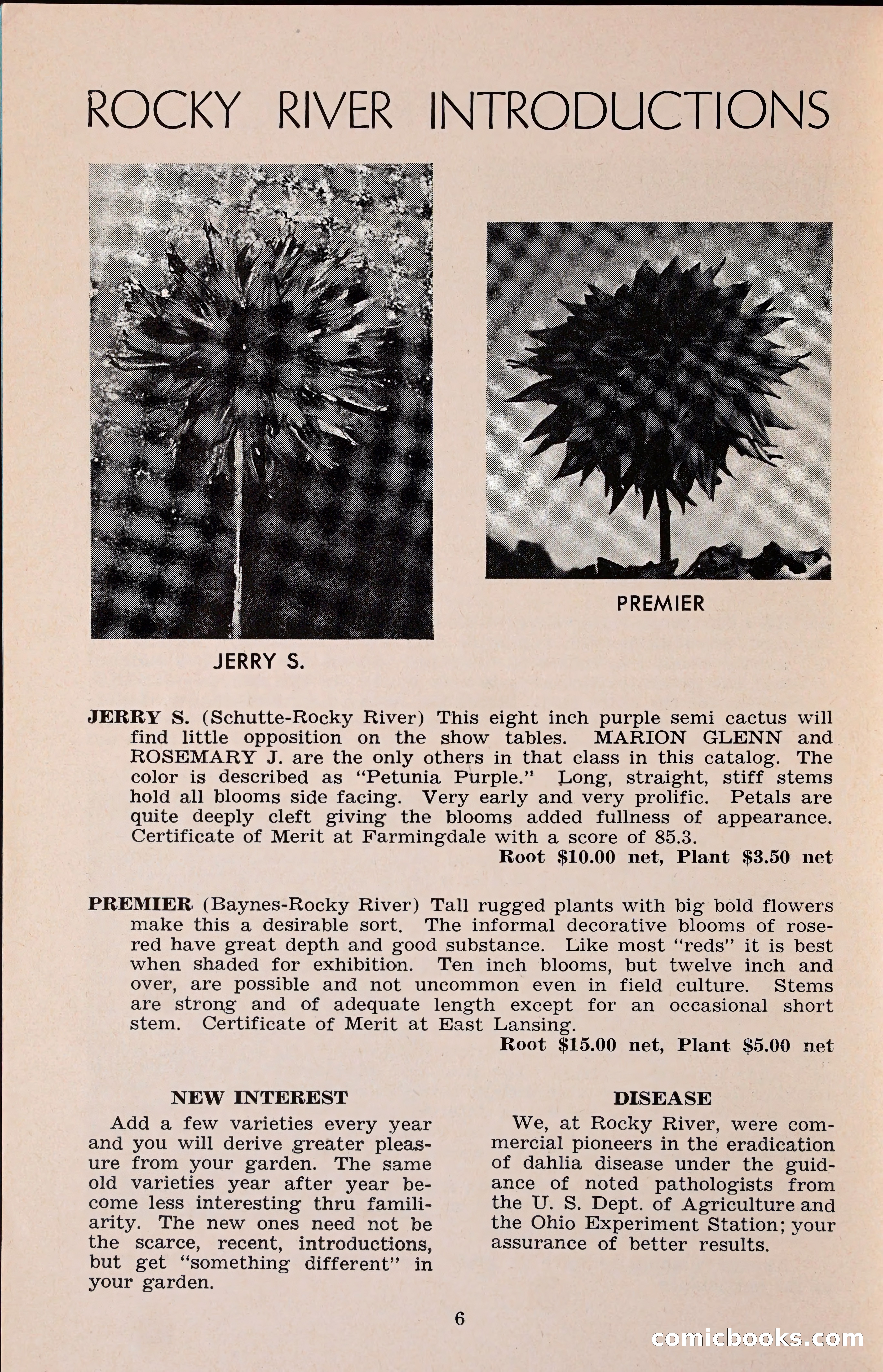 The Dahlia Blue Book for 1960 — page 9 of 69