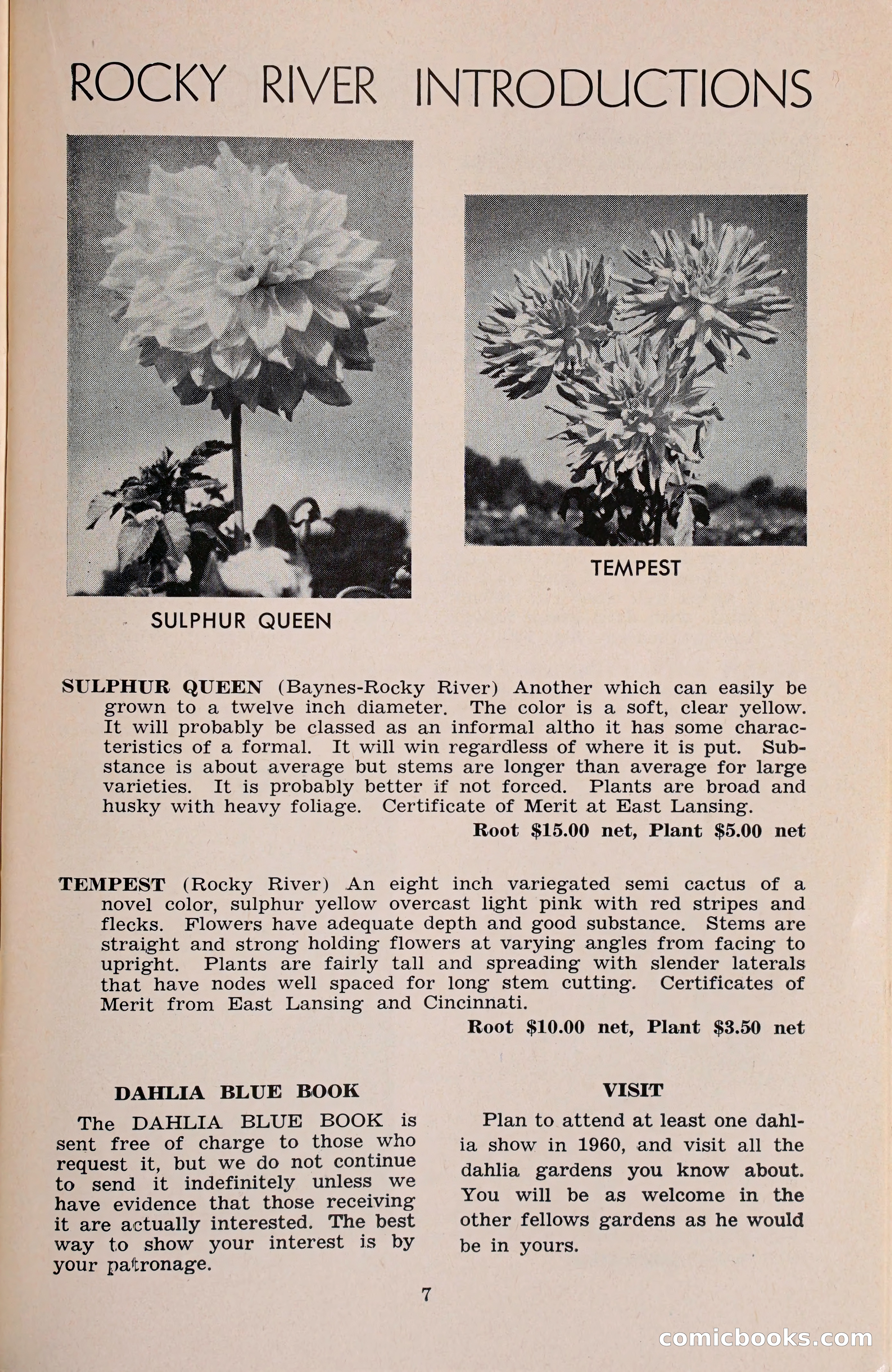 The Dahlia Blue Book for 1960 — page 10 of 69