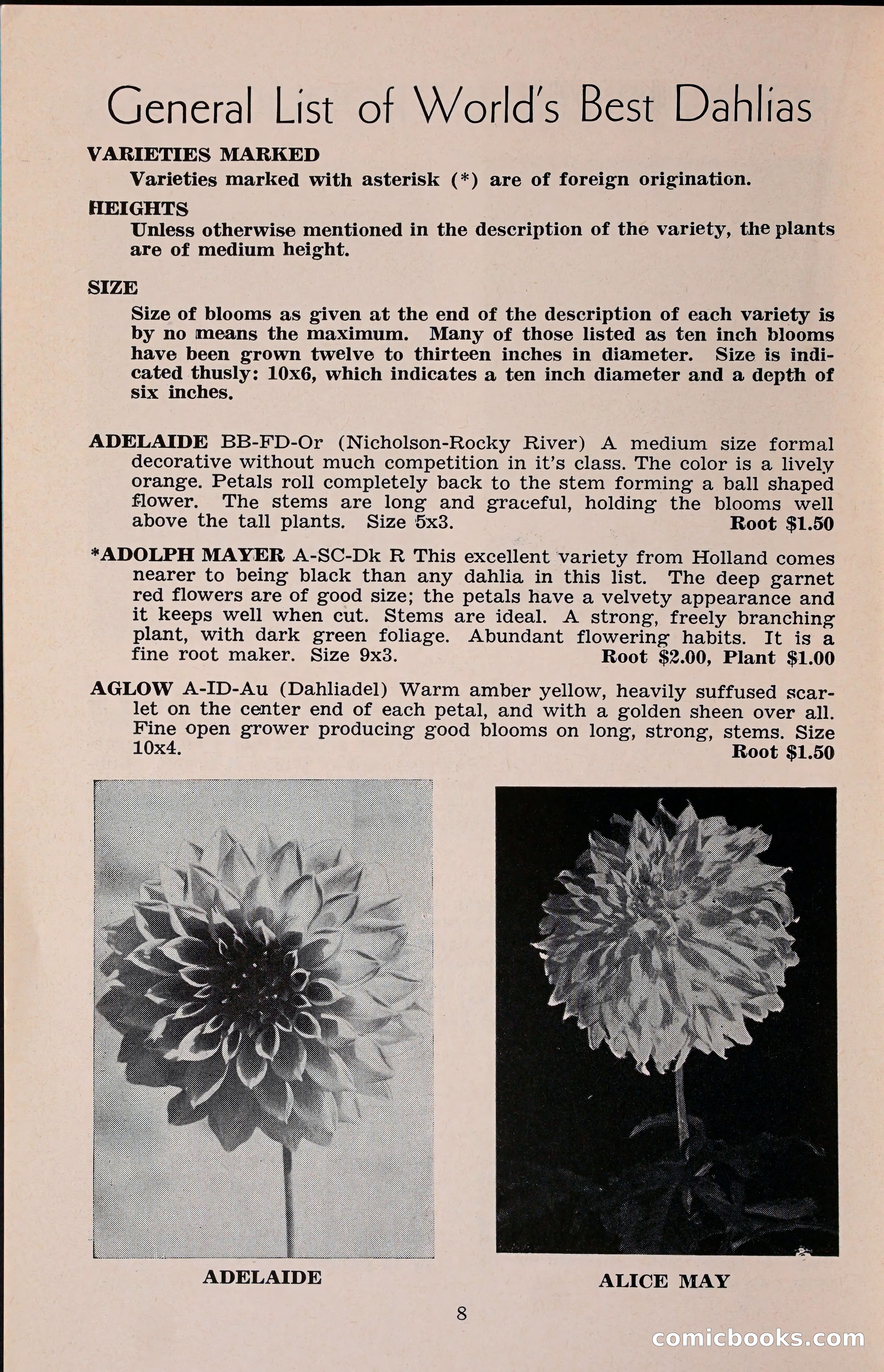 The Dahlia Blue Book for 1960 — page 11 of 69