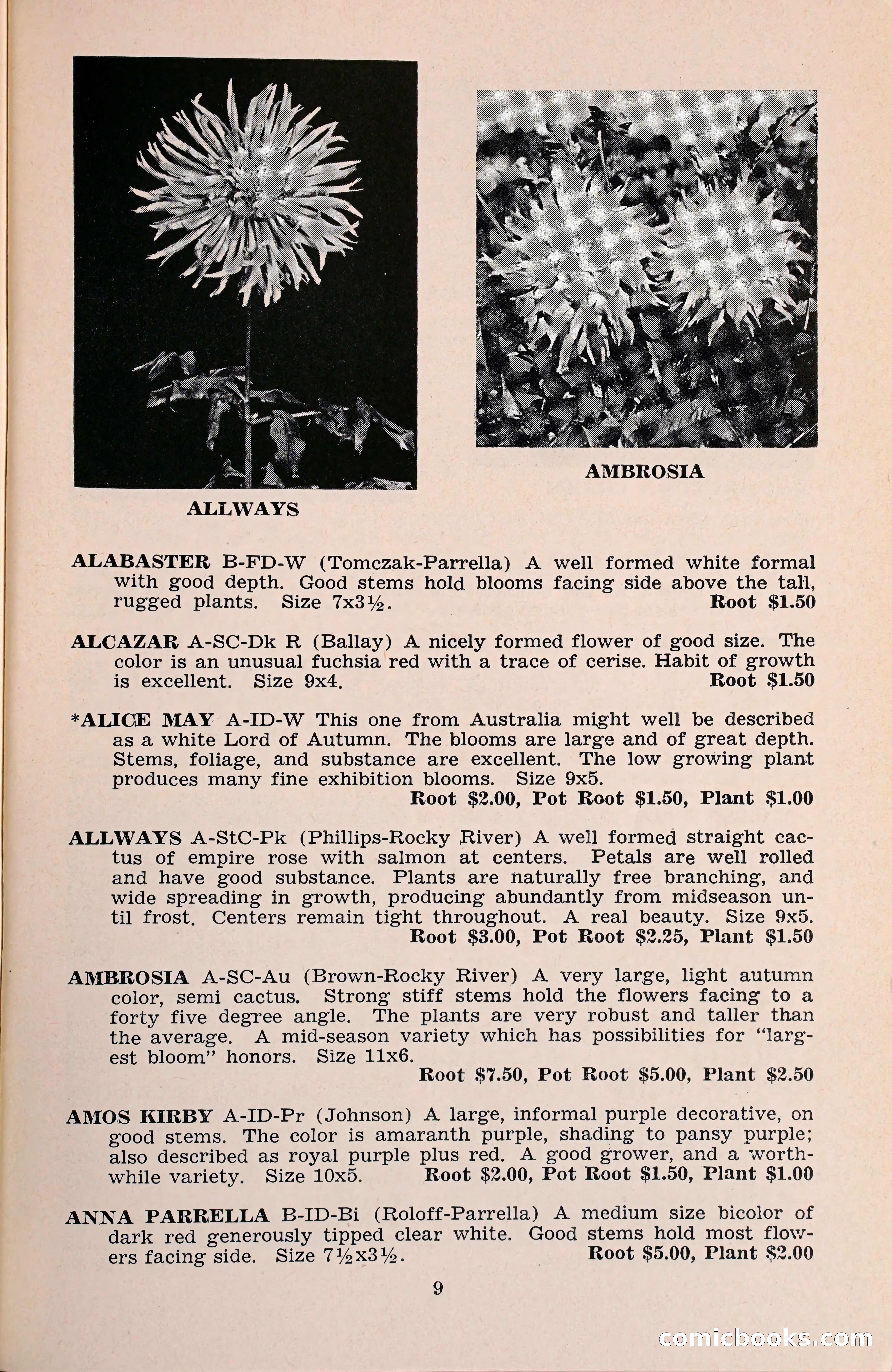 The Dahlia Blue Book for 1960 — page 12 of 69