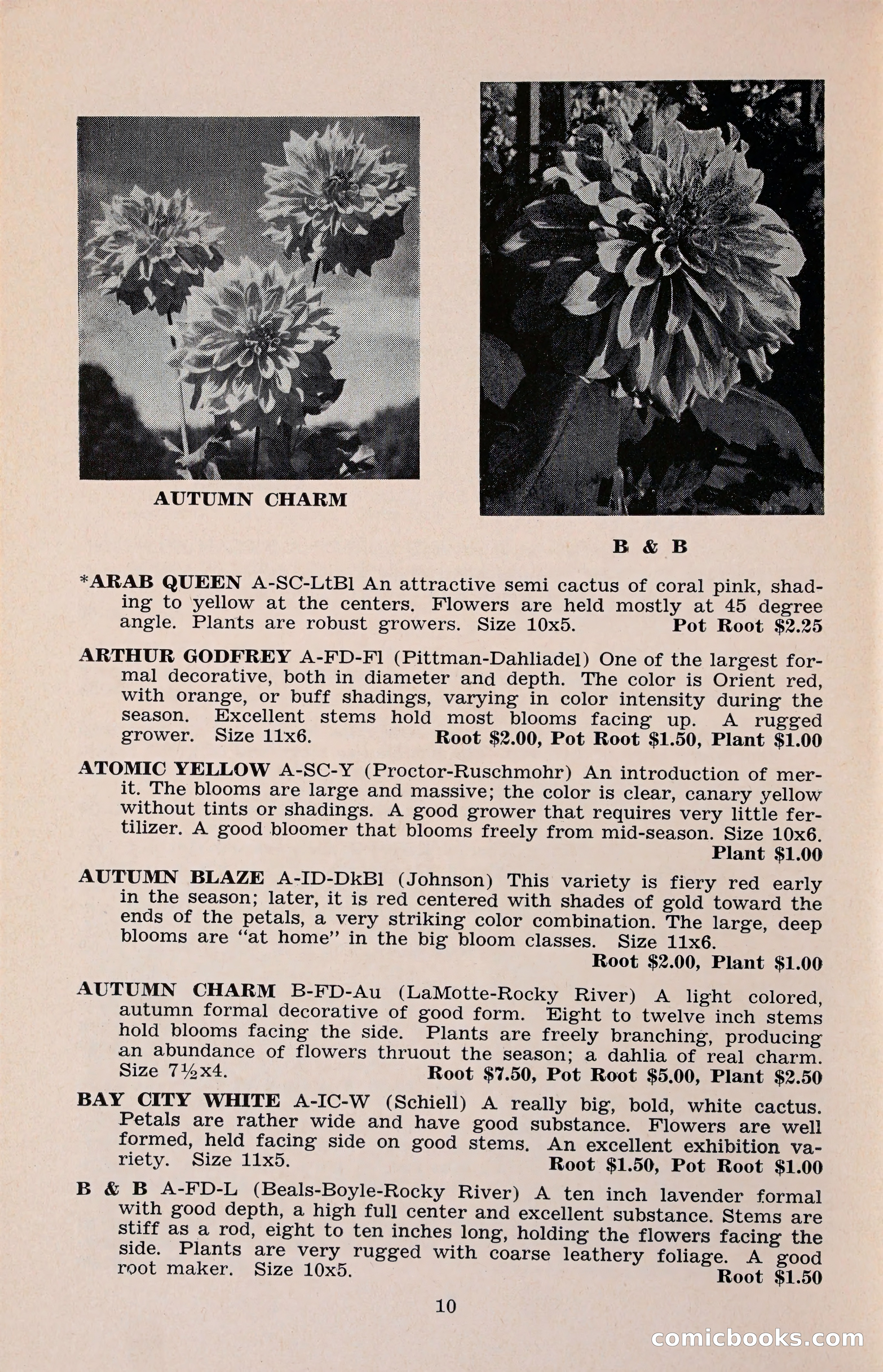 The Dahlia Blue Book for 1960 — page 13 of 69