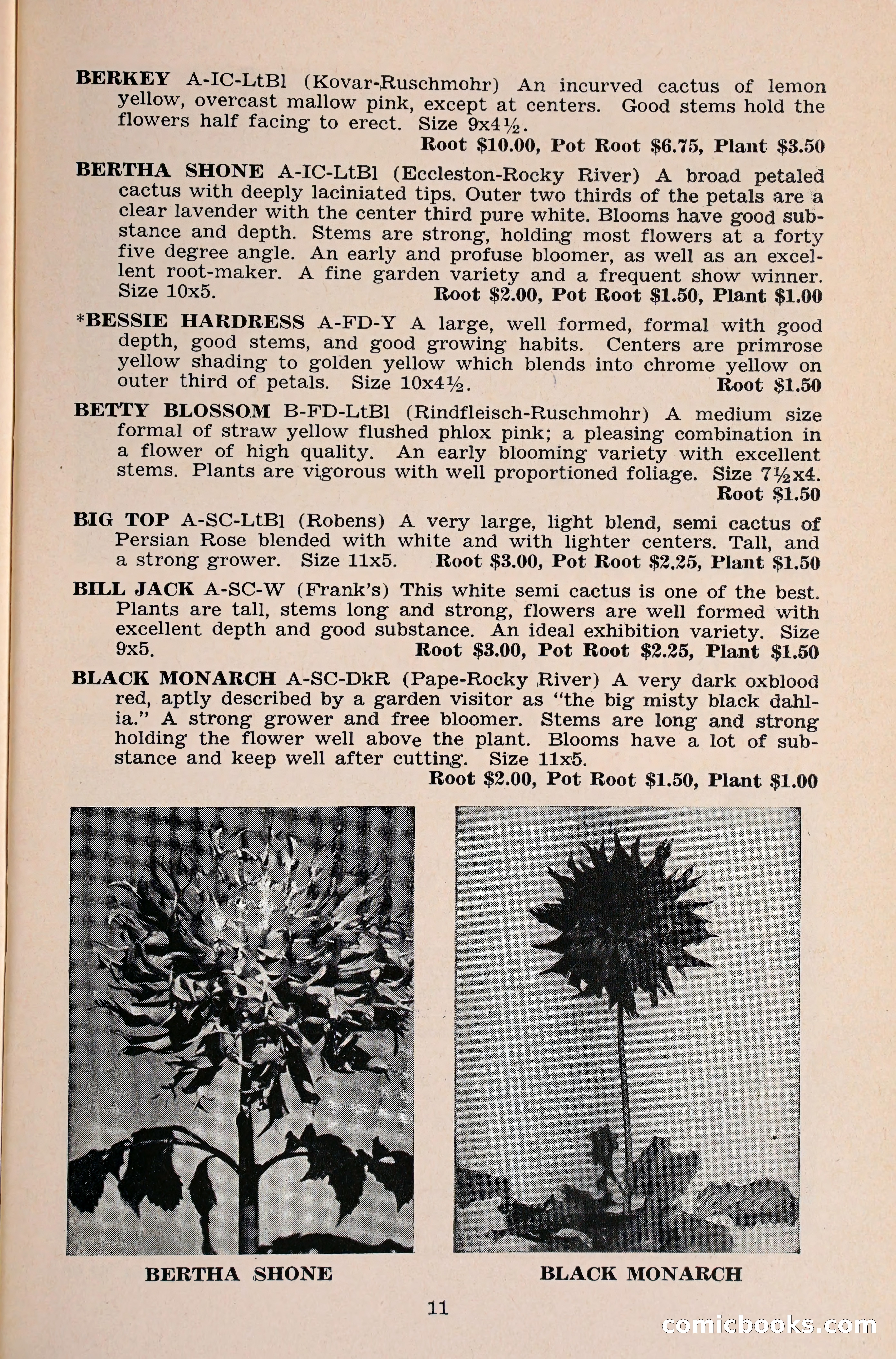 The Dahlia Blue Book for 1960 — page 14 of 69