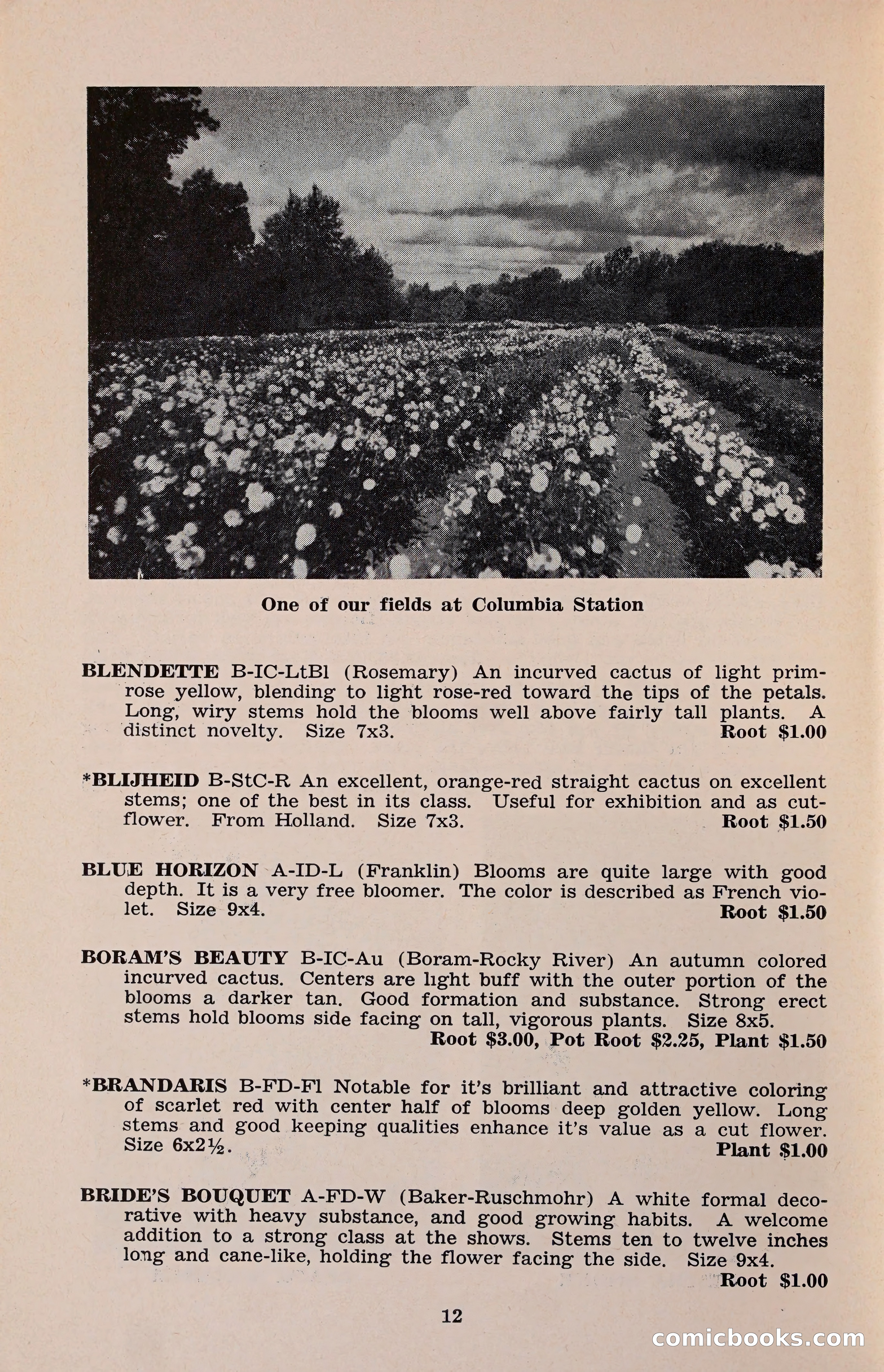 The Dahlia Blue Book for 1960 — page 15 of 69
