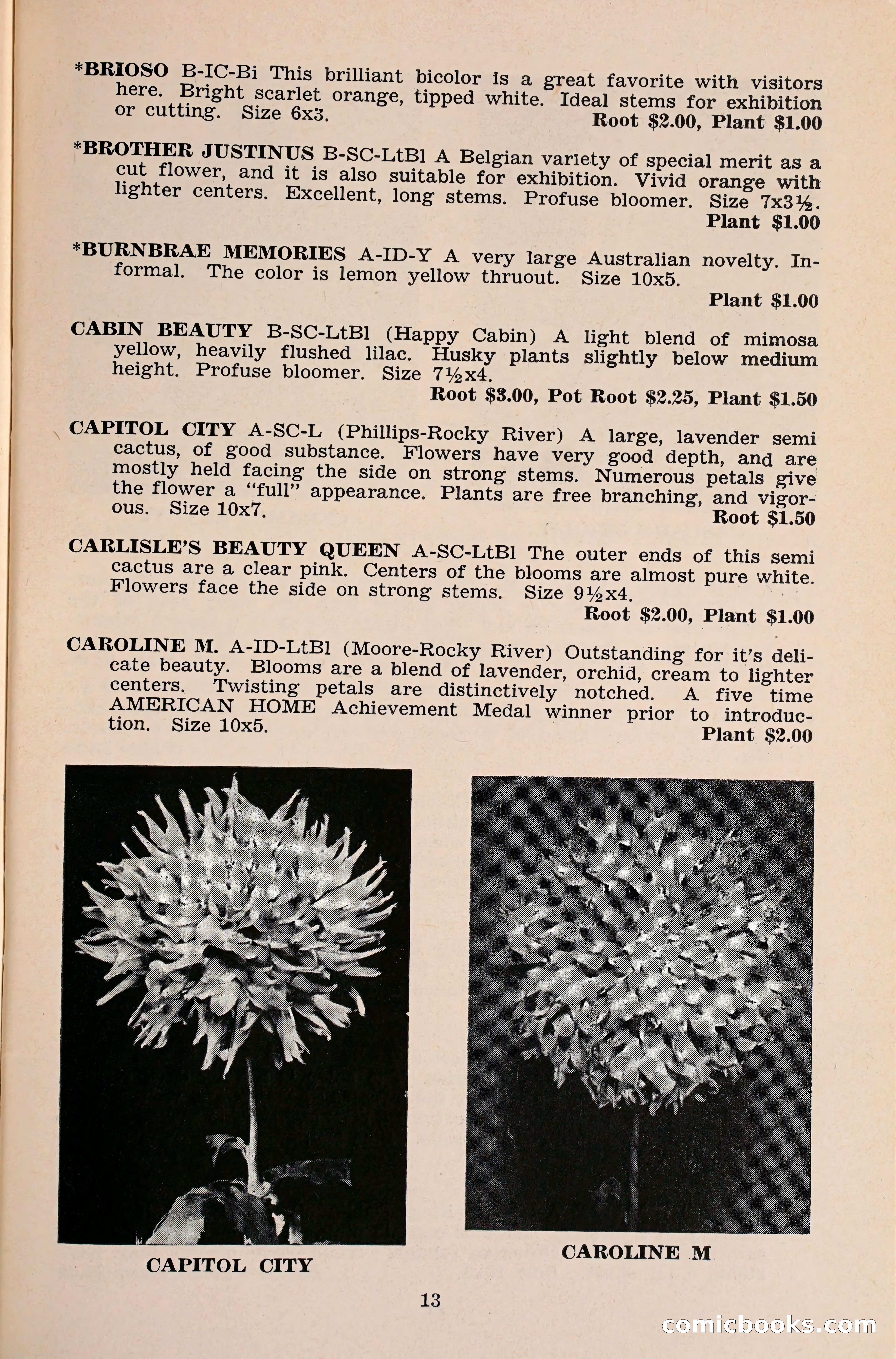 The Dahlia Blue Book for 1960 — page 16 of 69