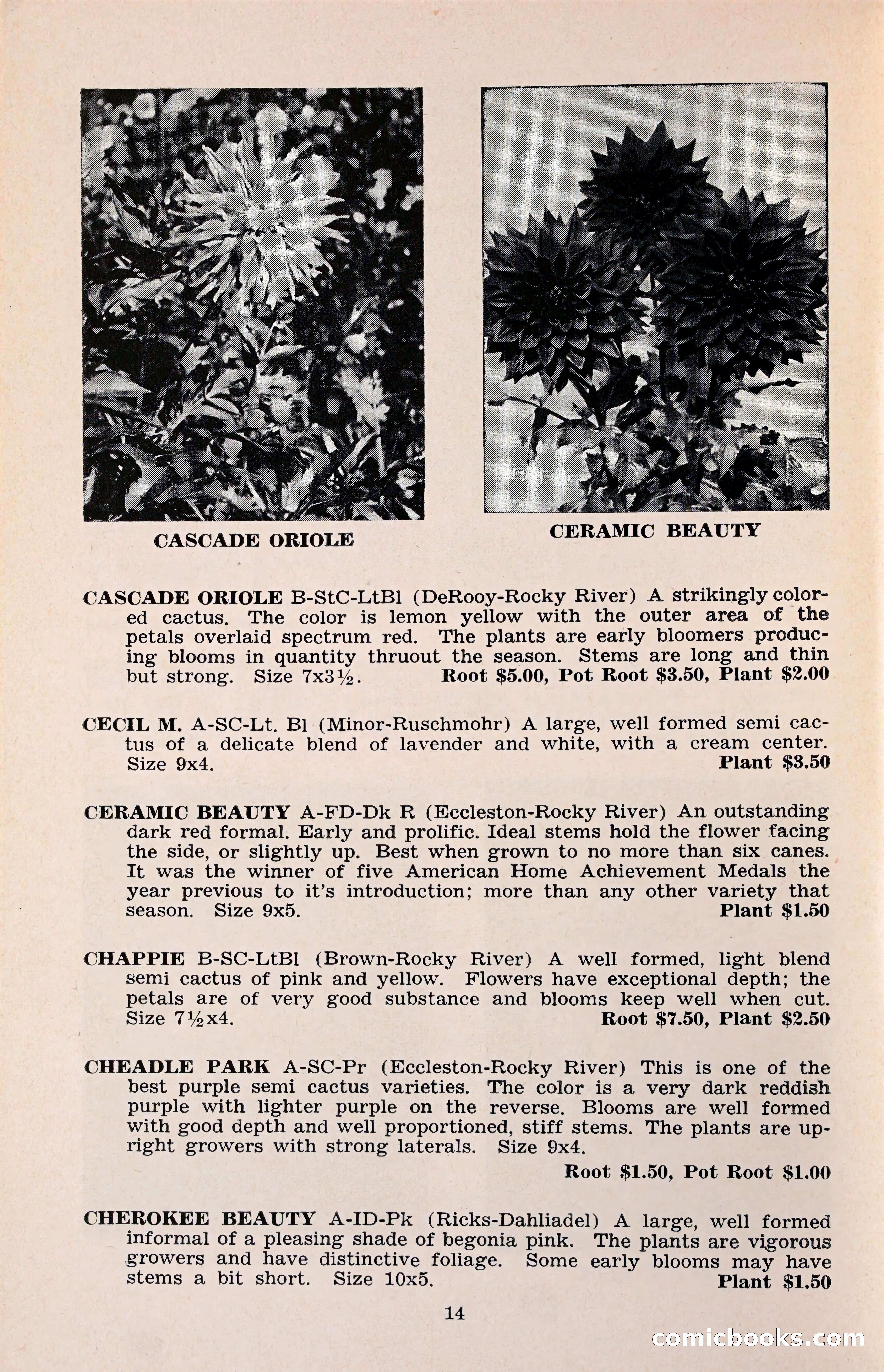 The Dahlia Blue Book for 1960 — page 17 of 69