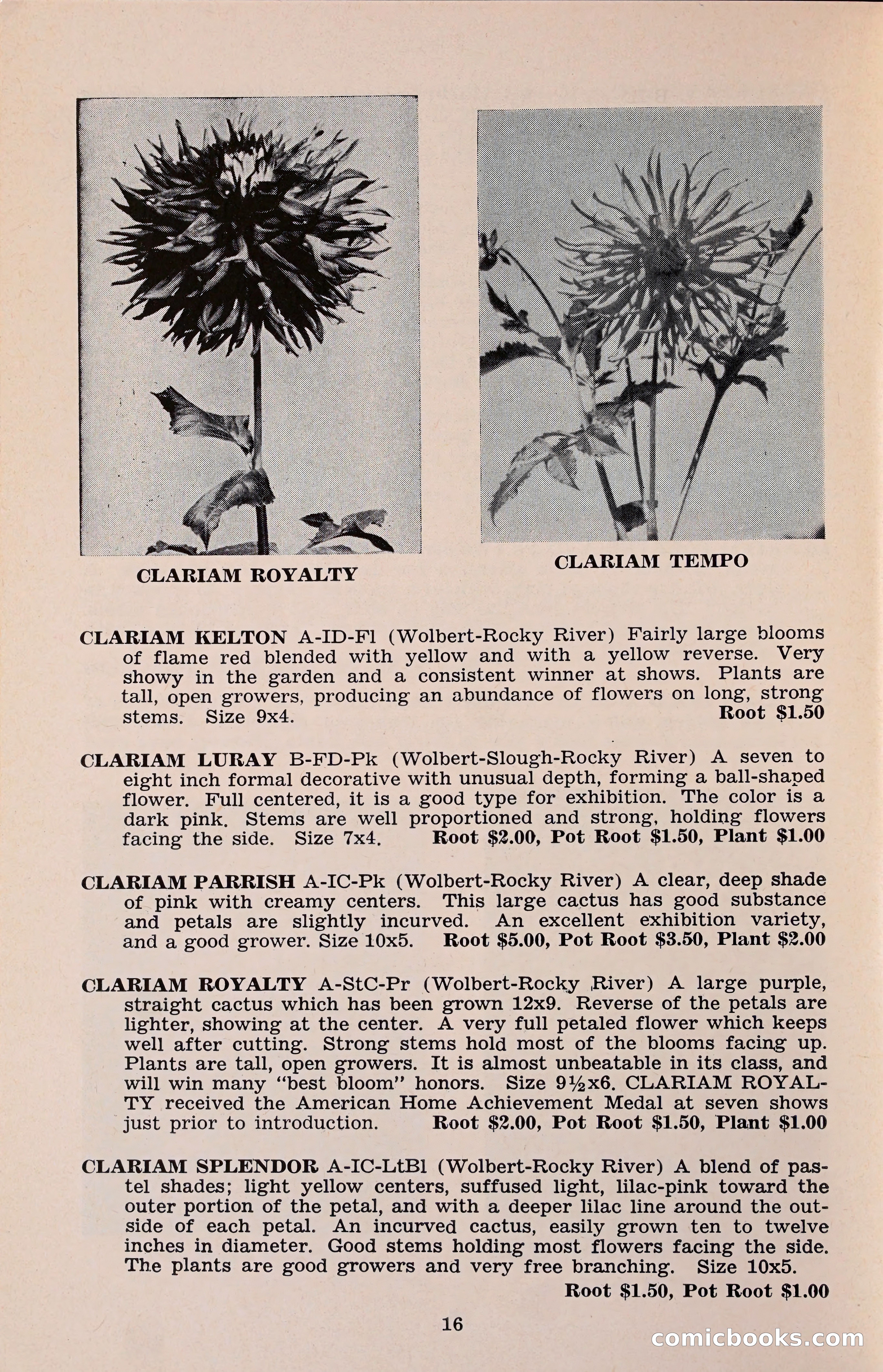 The Dahlia Blue Book for 1960 — page 19 of 69