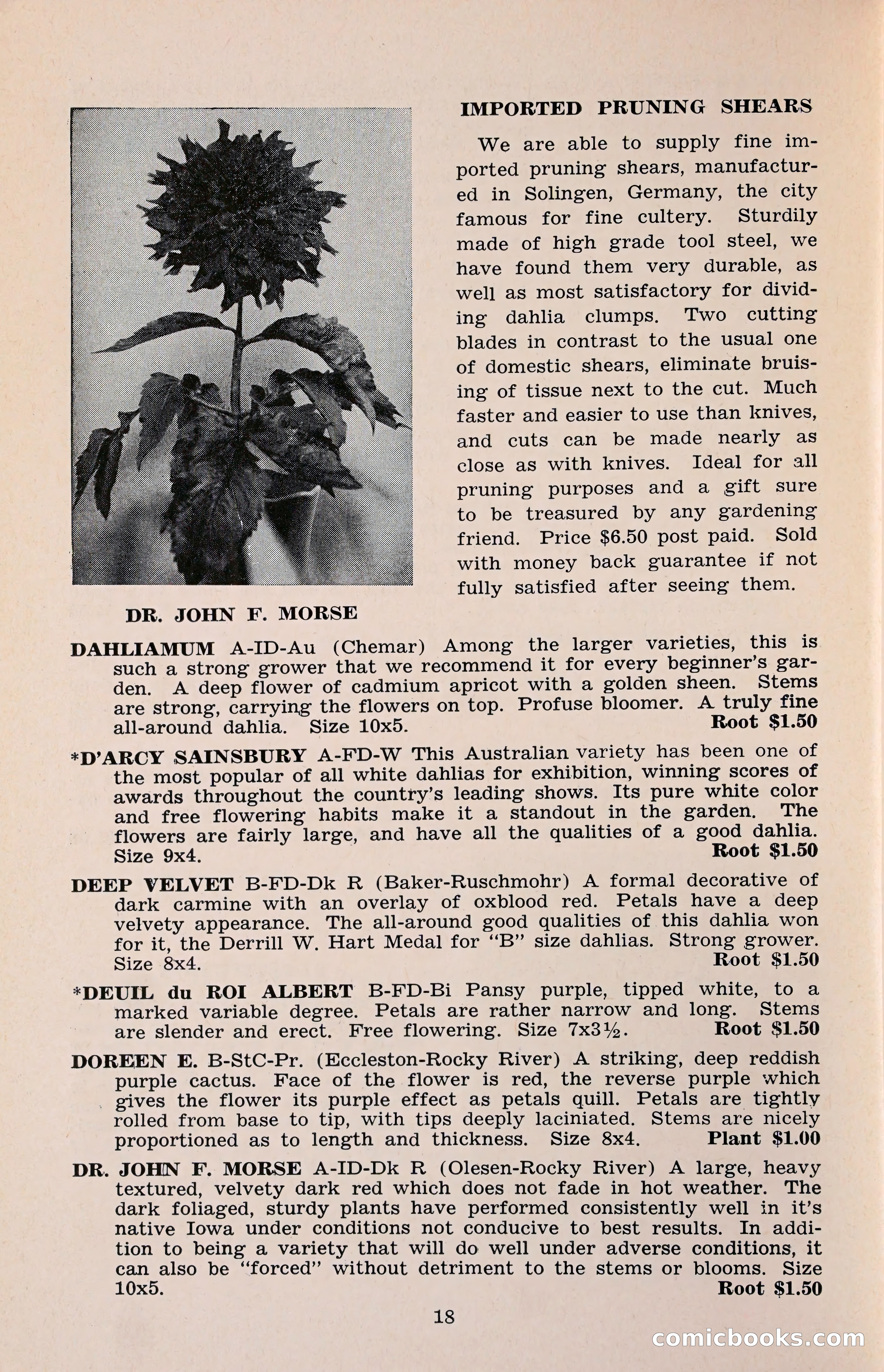 The Dahlia Blue Book for 1960 — page 21 of 69