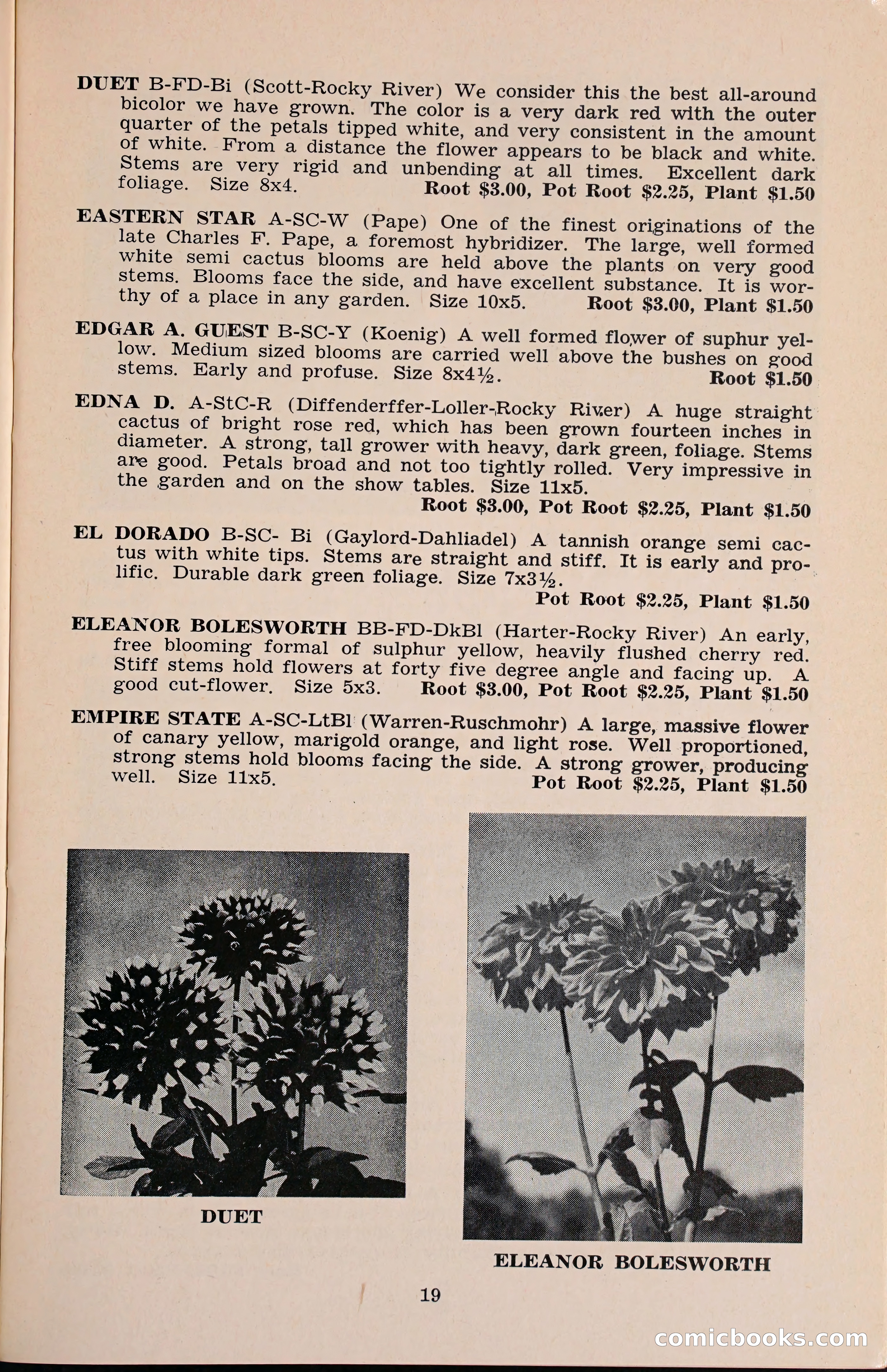 The Dahlia Blue Book for 1960 — page 22 of 69