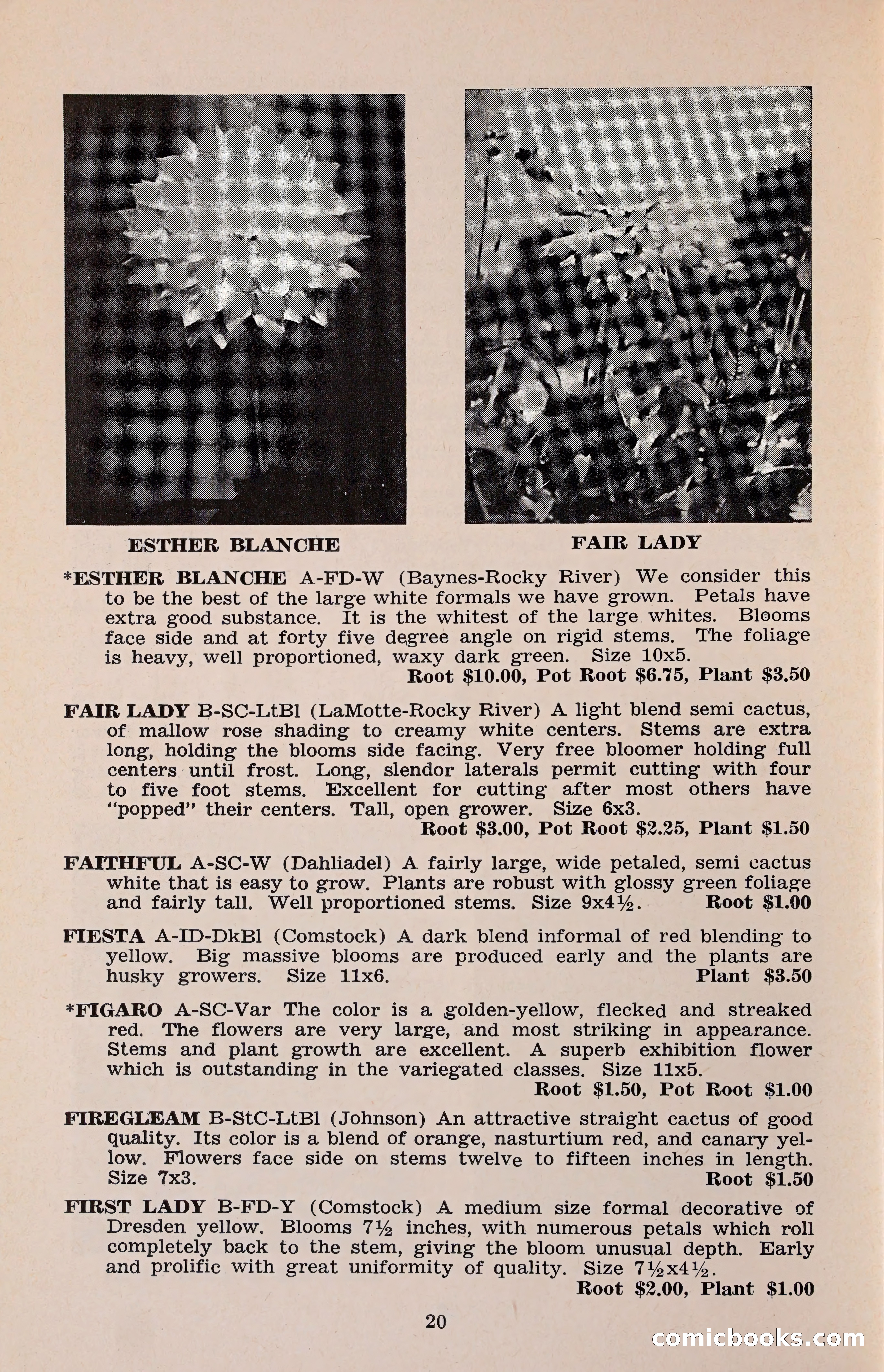 The Dahlia Blue Book for 1960 — page 23 of 69