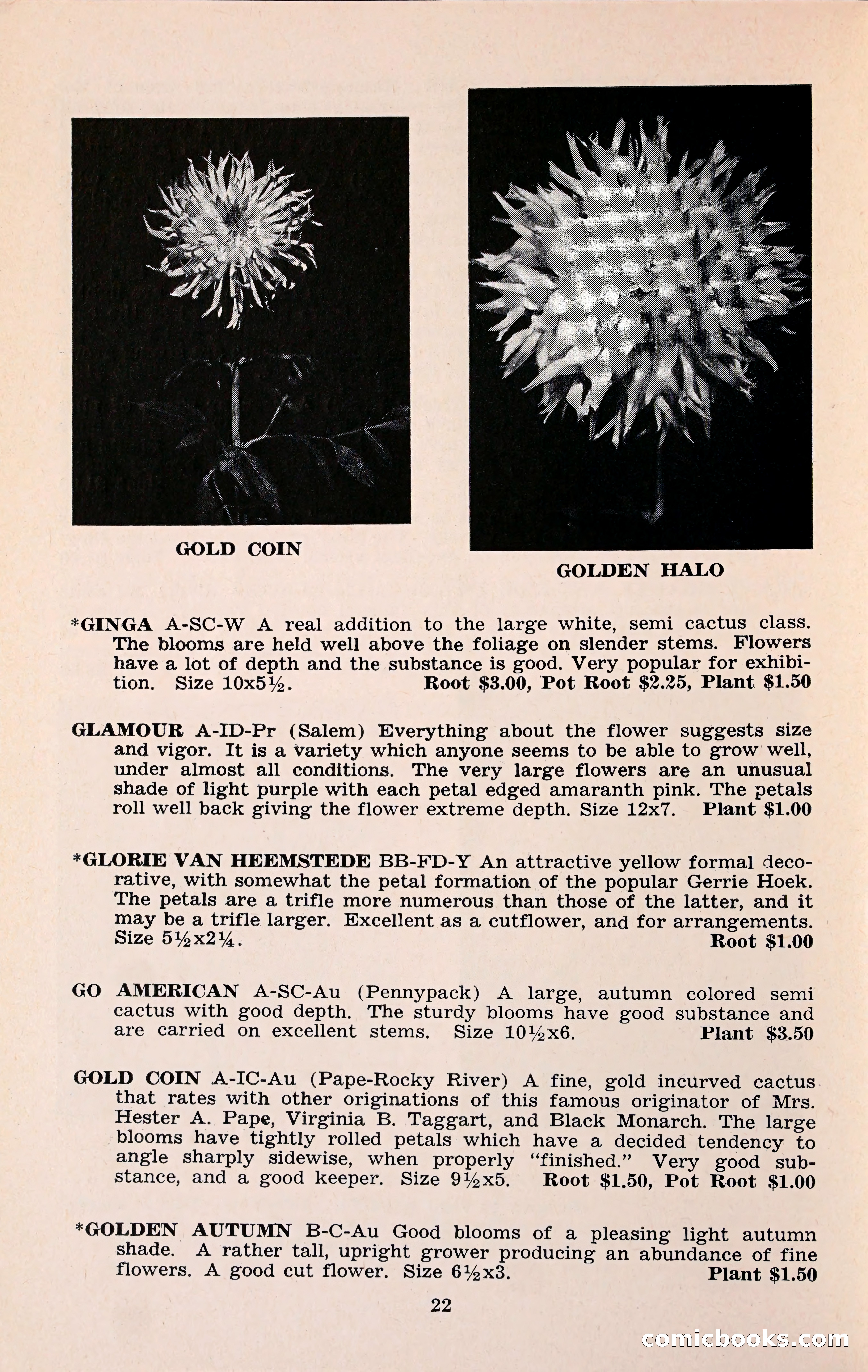 The Dahlia Blue Book for 1960 — page 25 of 69