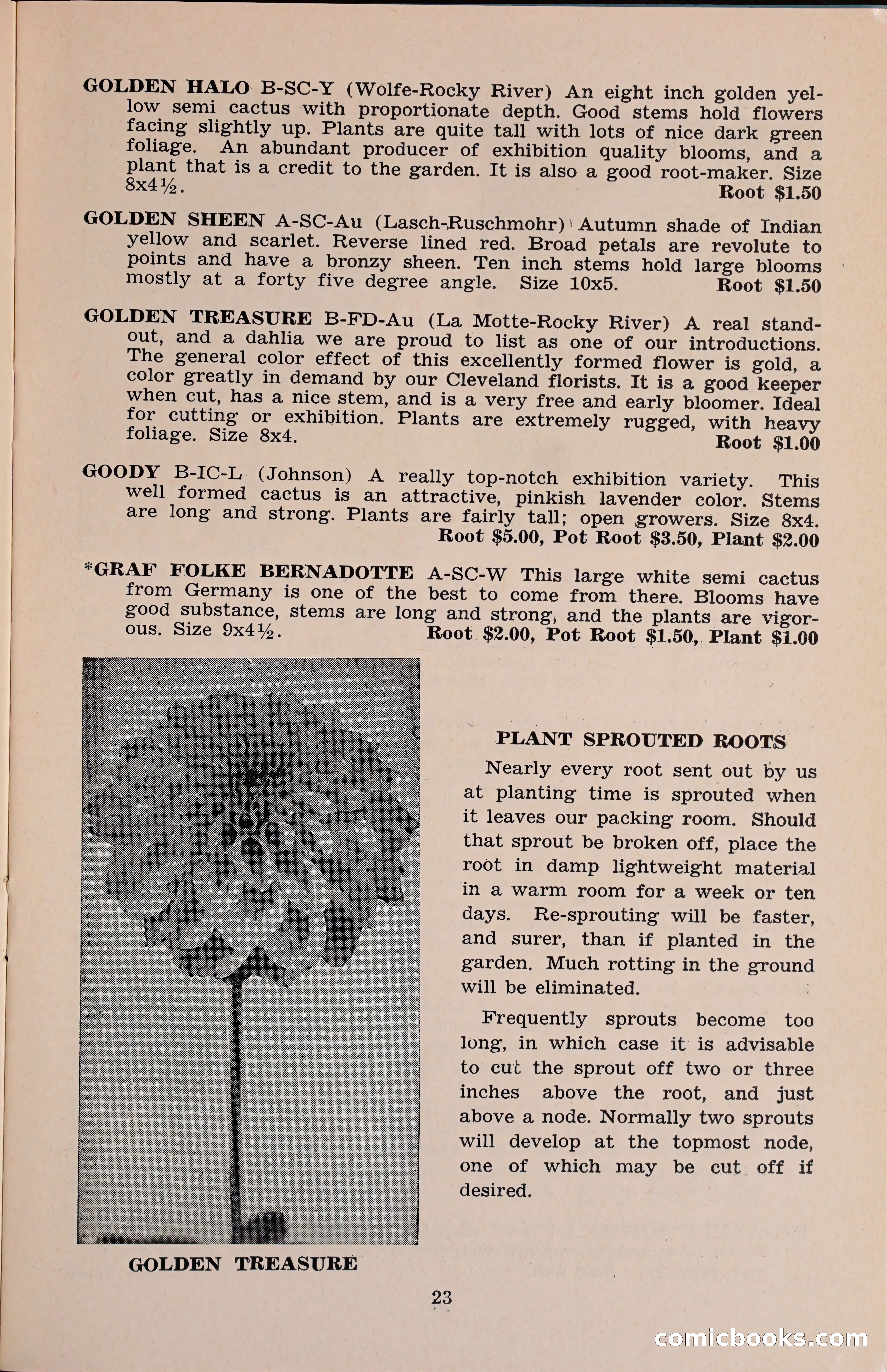 The Dahlia Blue Book for 1960 — page 26 of 69