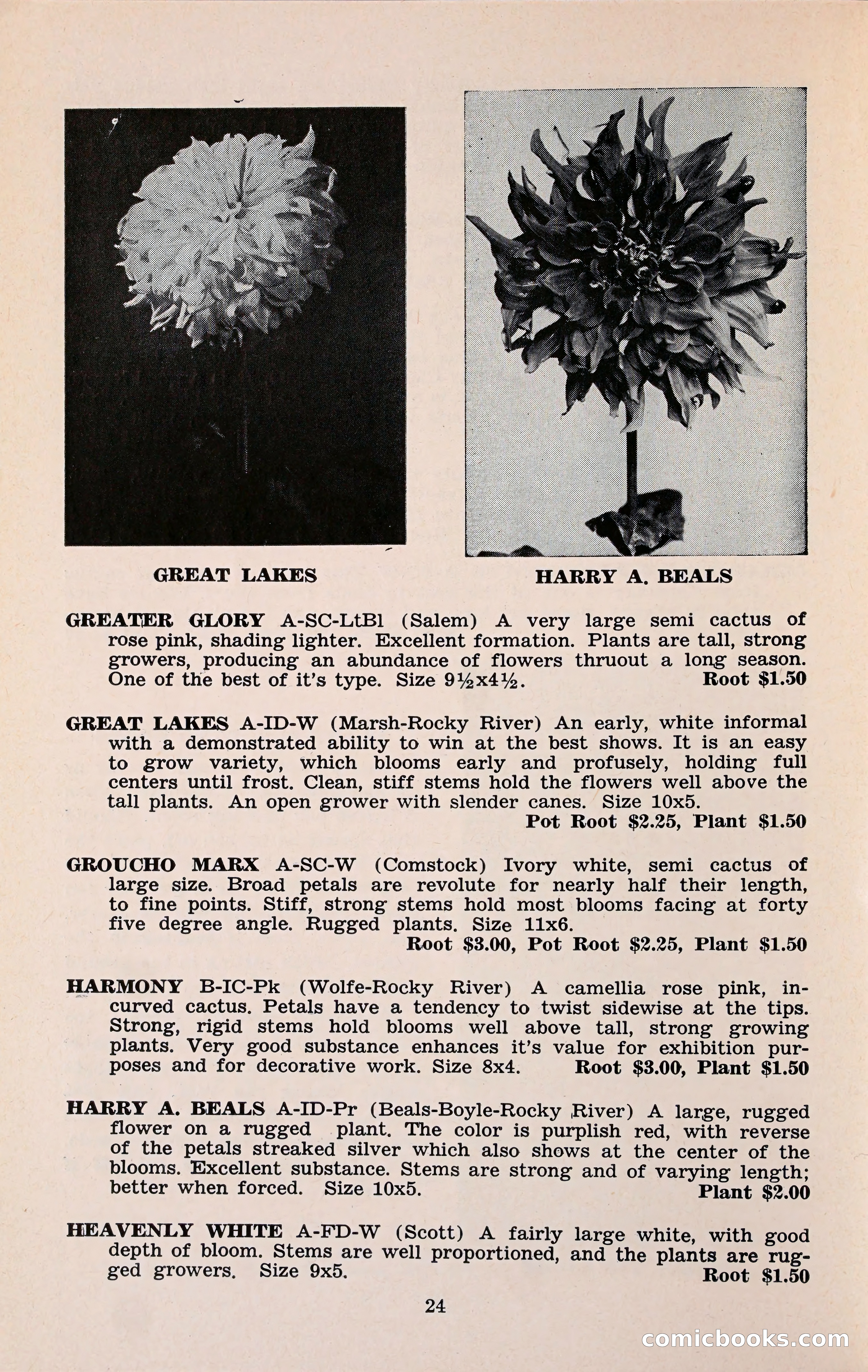 The Dahlia Blue Book for 1960 — page 27 of 69