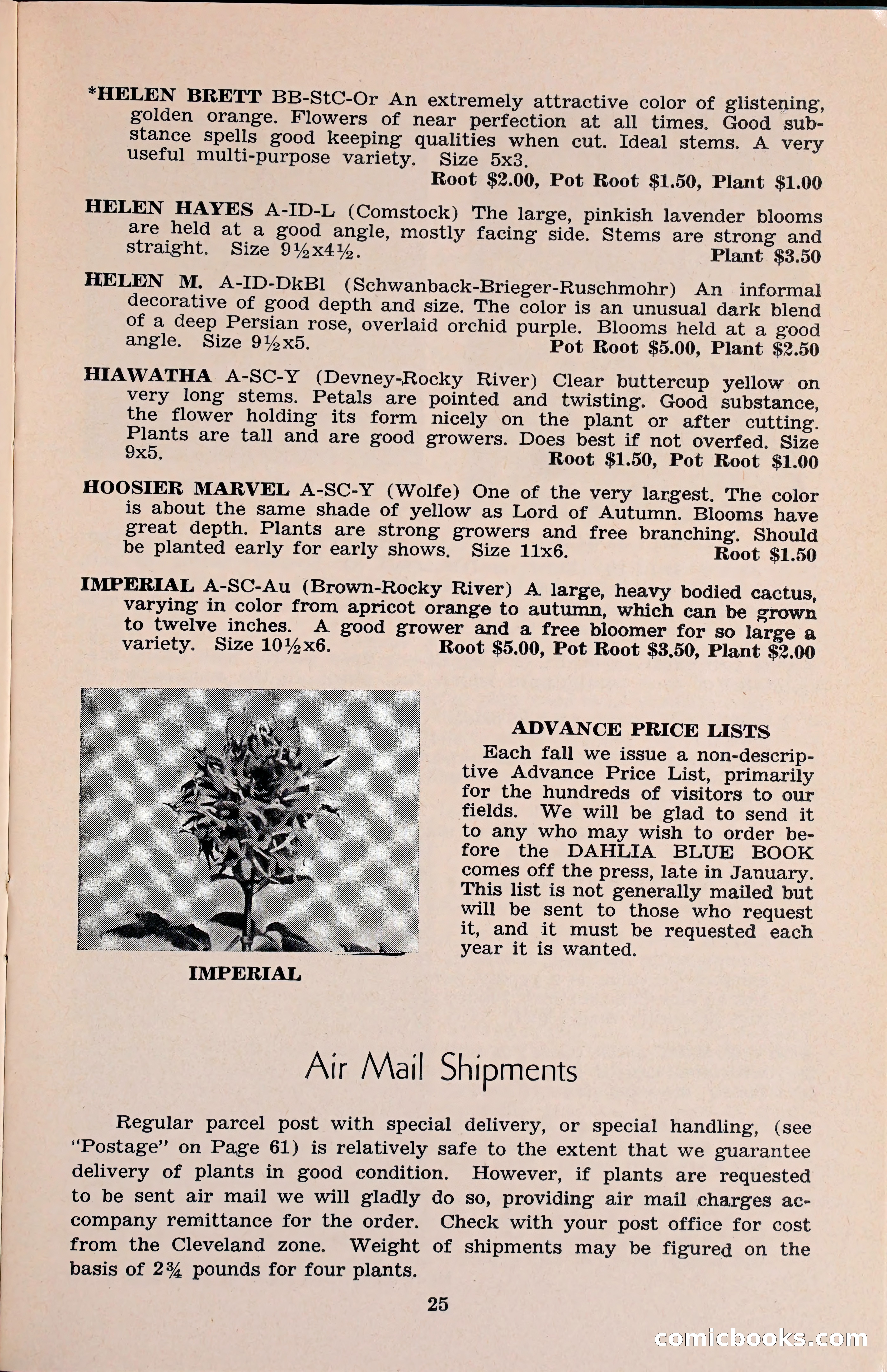 The Dahlia Blue Book for 1960 — page 28 of 69