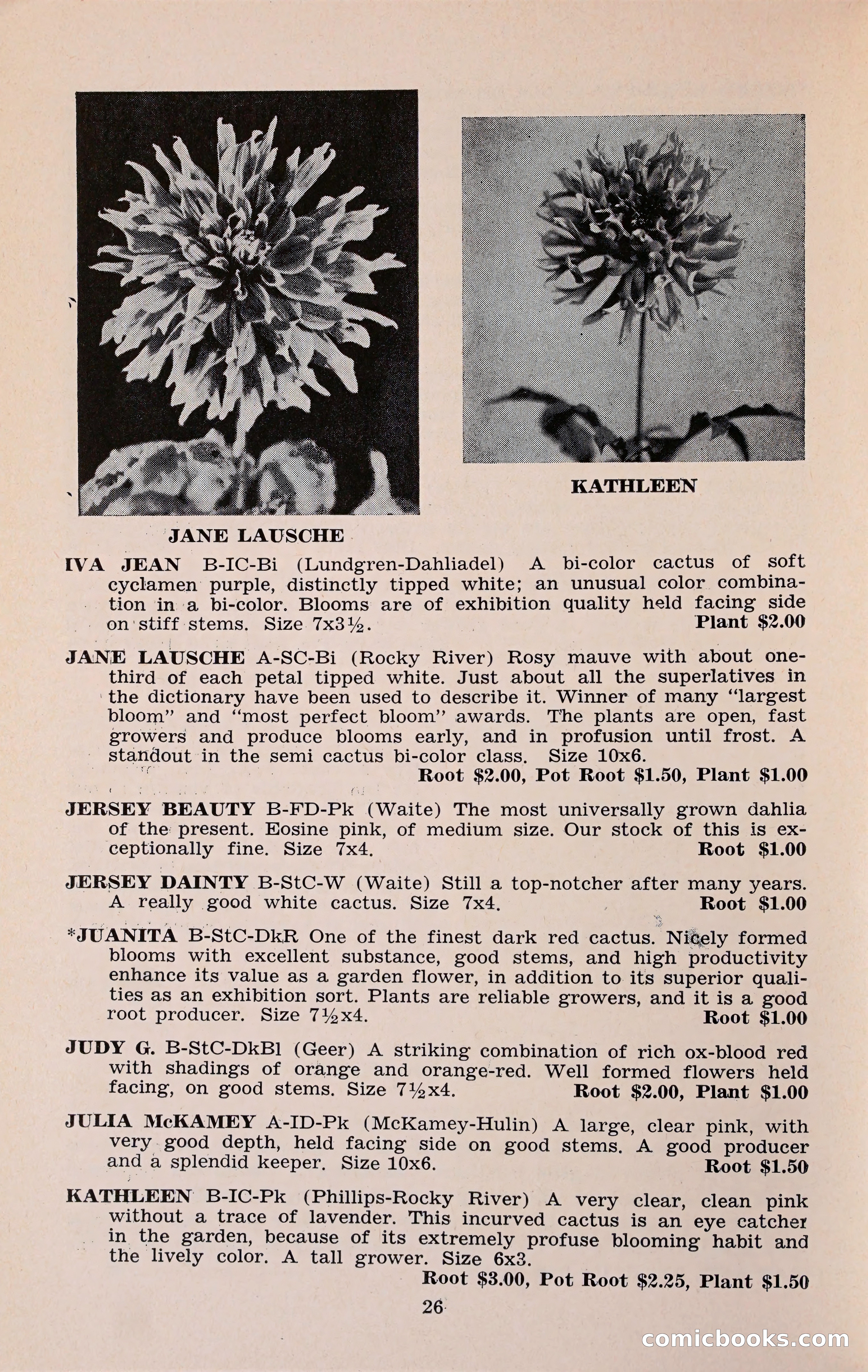 The Dahlia Blue Book for 1960 — page 29 of 69
