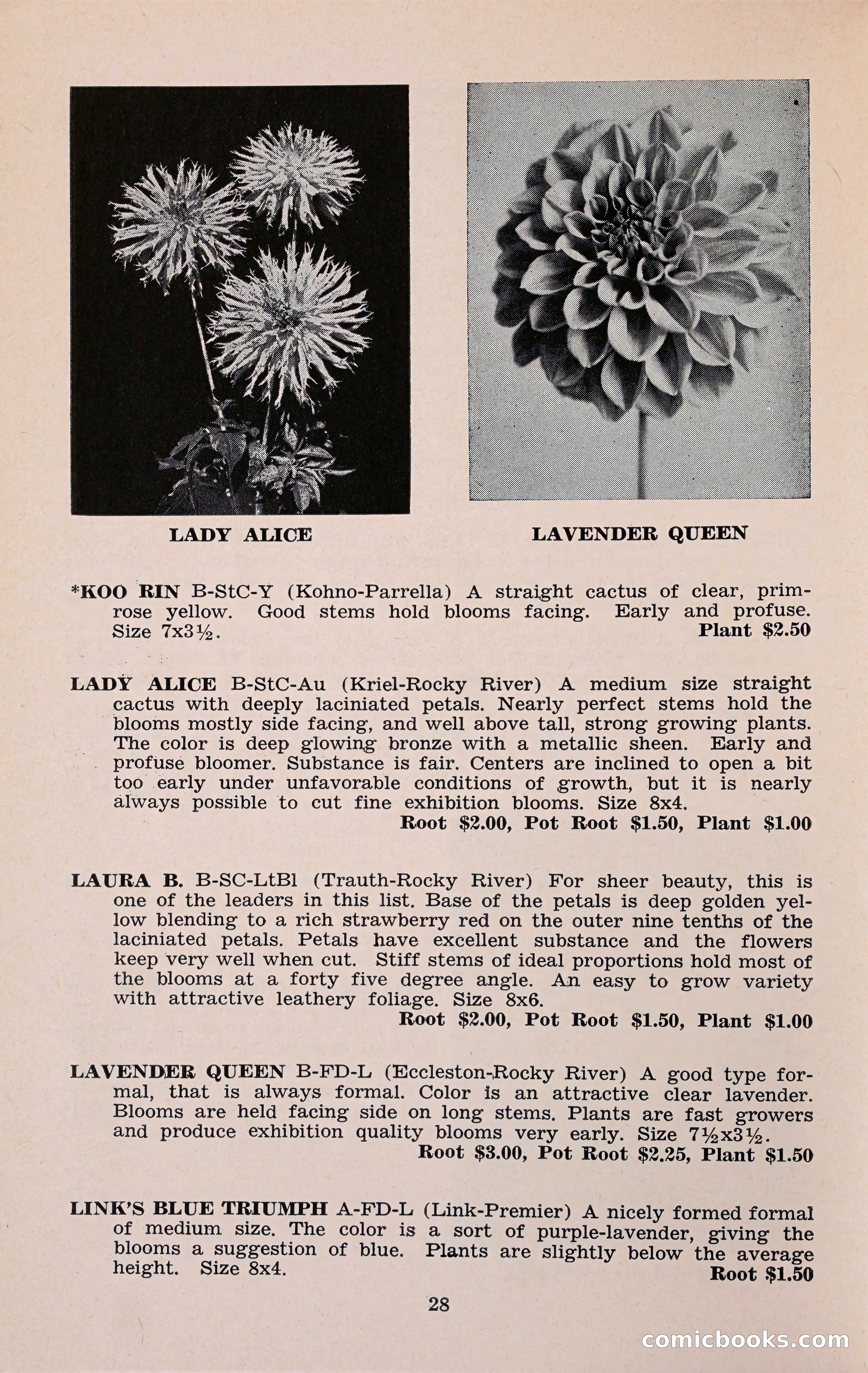The Dahlia Blue Book for 1960 — page 31 of 69