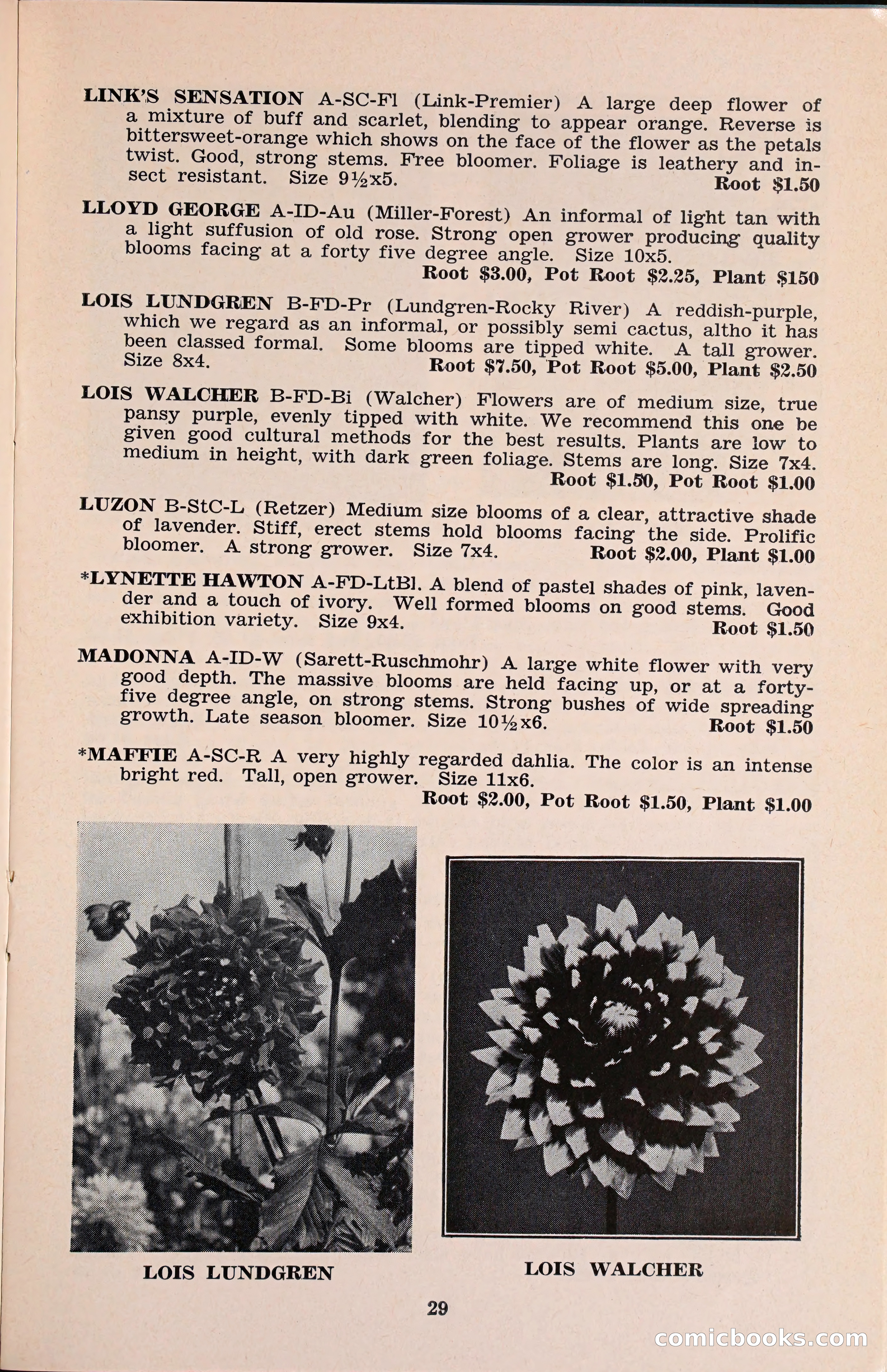 The Dahlia Blue Book for 1960 — page 32 of 69