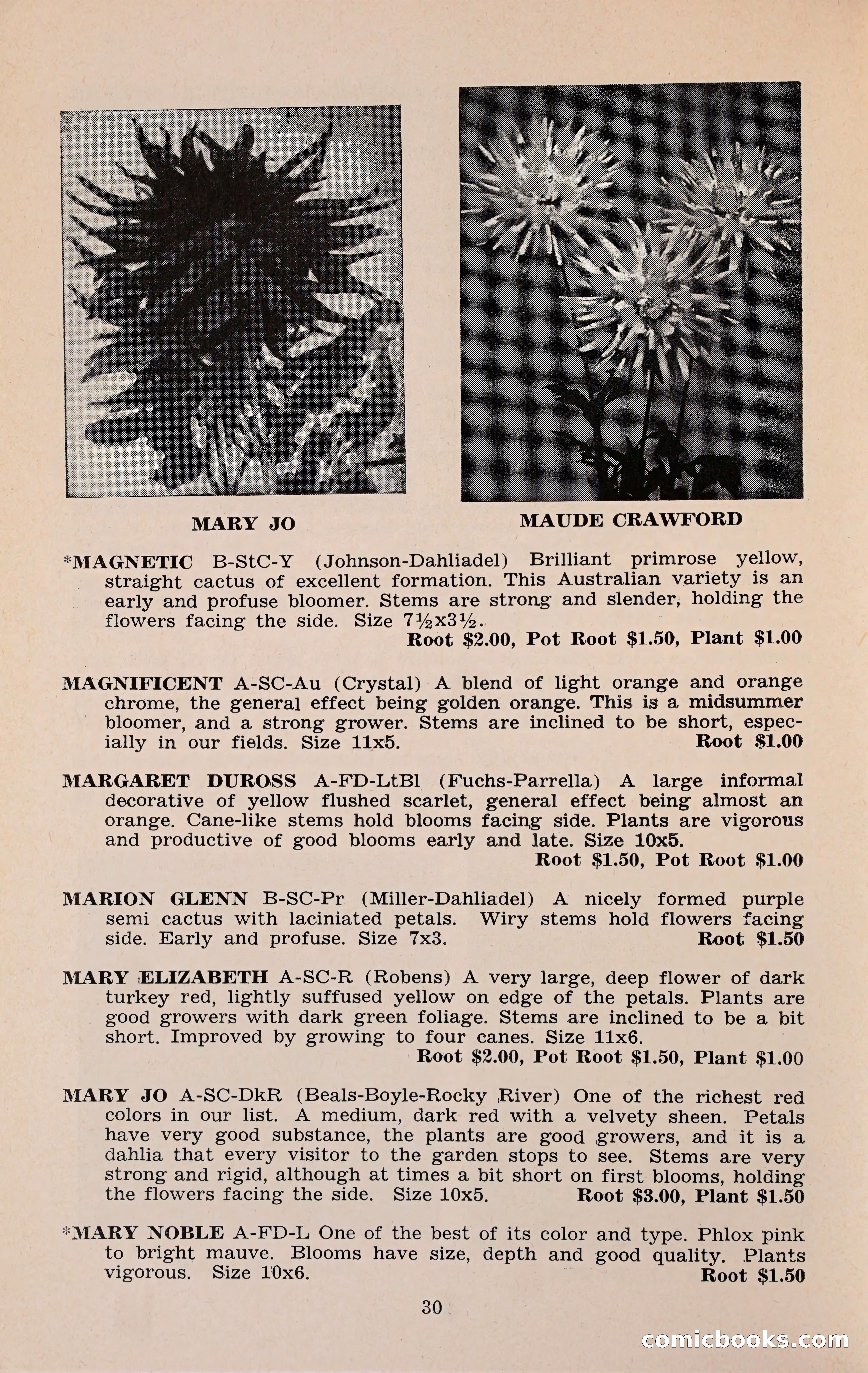 The Dahlia Blue Book for 1960 — page 33 of 69