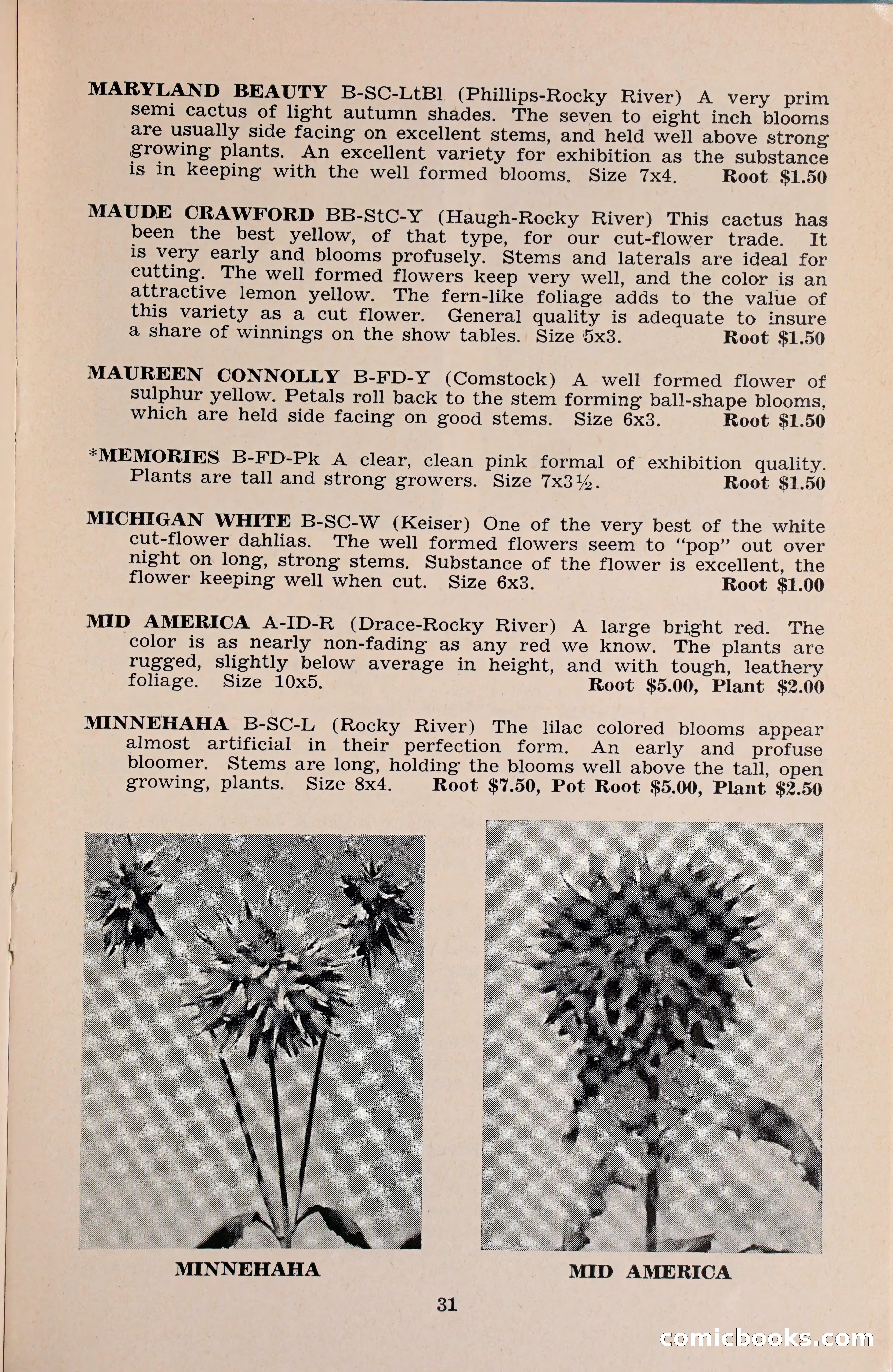 The Dahlia Blue Book for 1960 — page 34 of 69