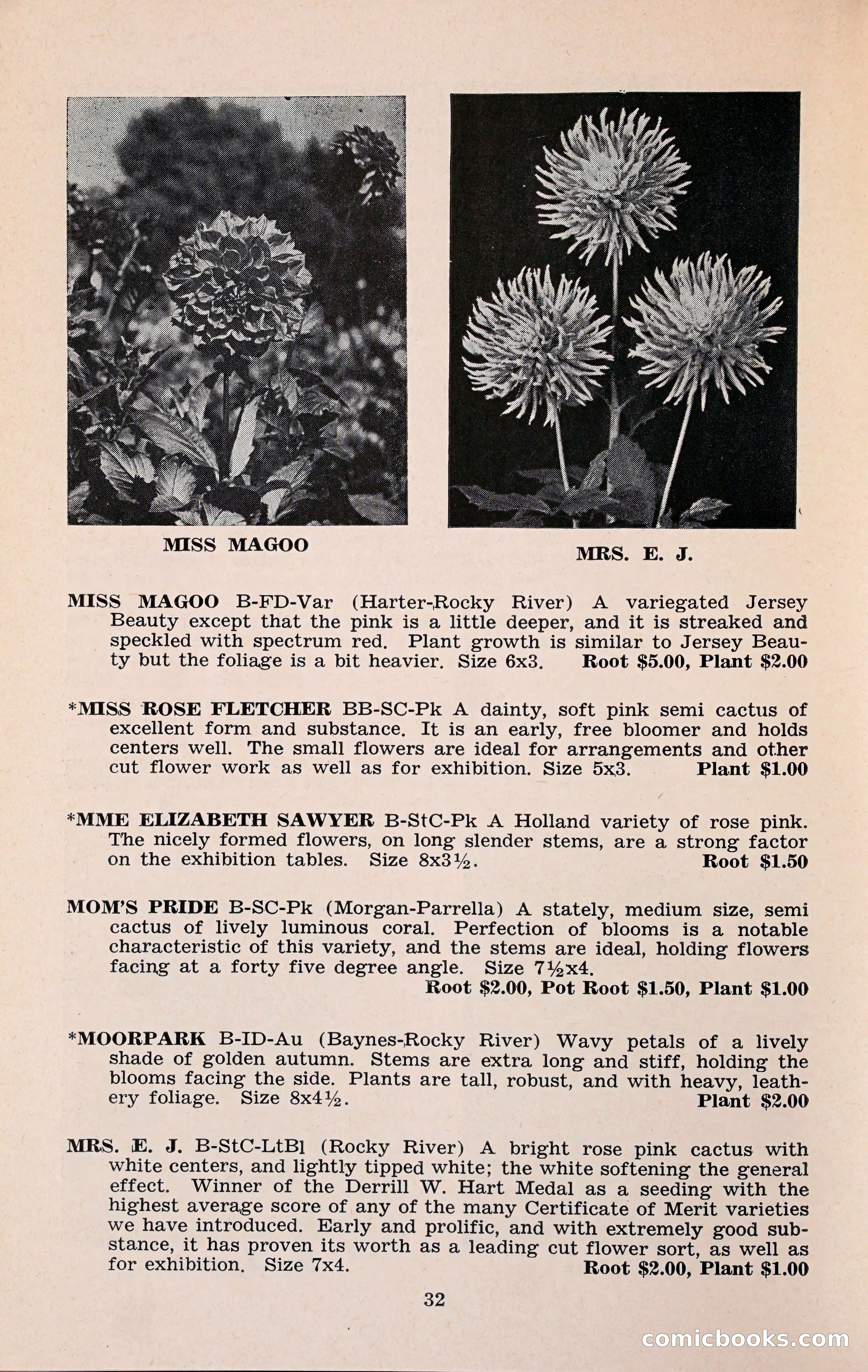 The Dahlia Blue Book for 1960 — page 35 of 69