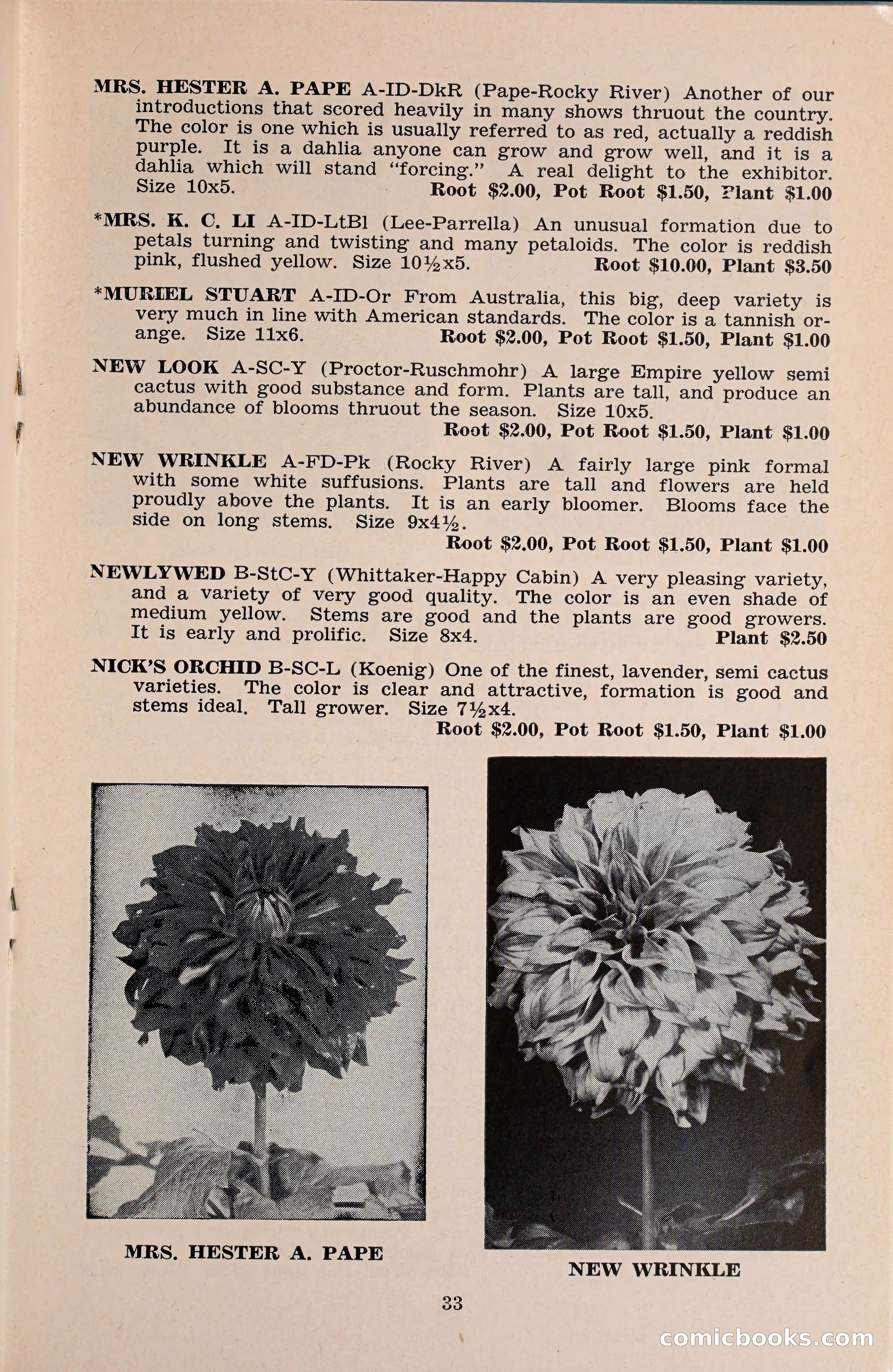 The Dahlia Blue Book for 1960 — page 36 of 69