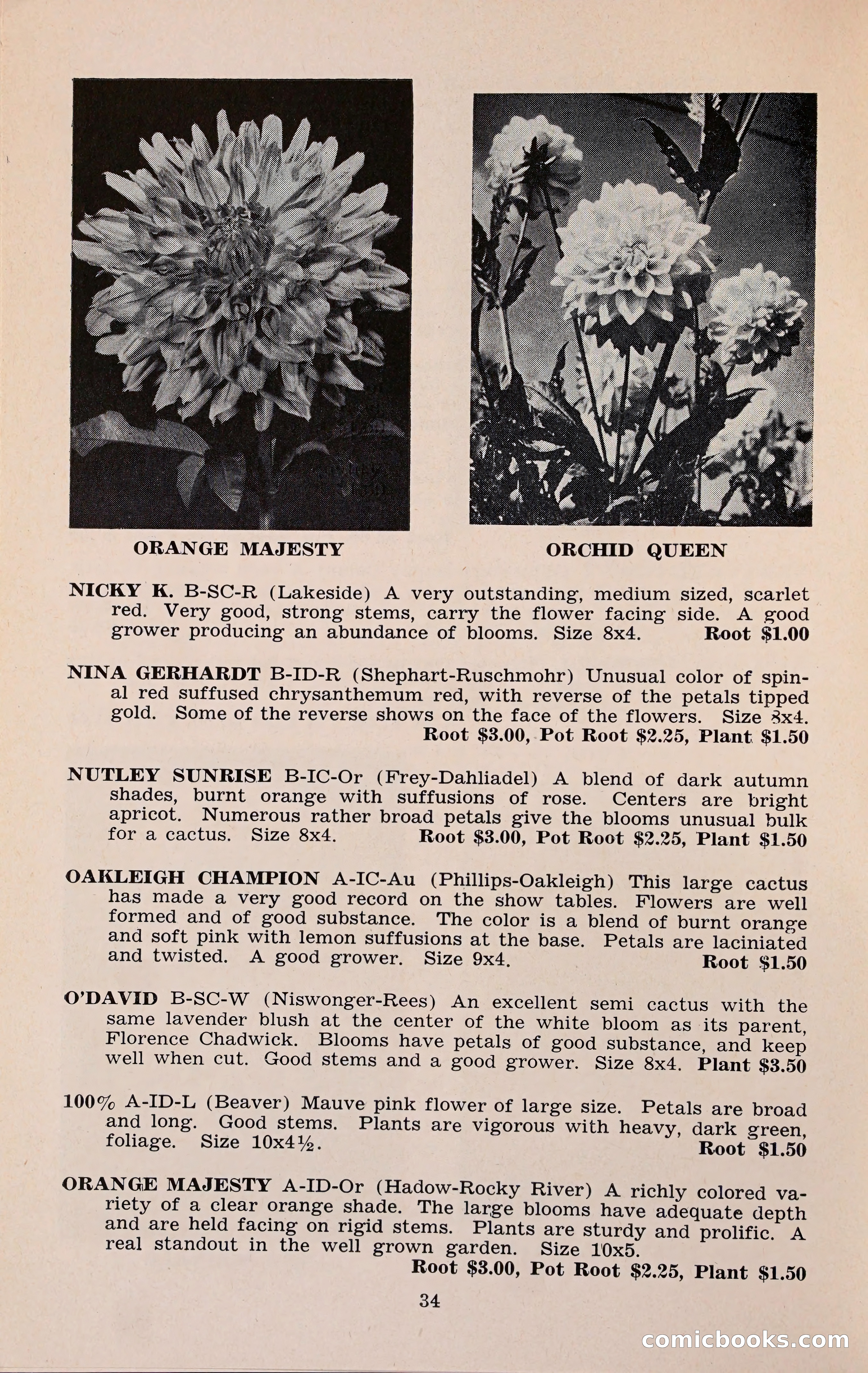 The Dahlia Blue Book for 1960 — page 37 of 69