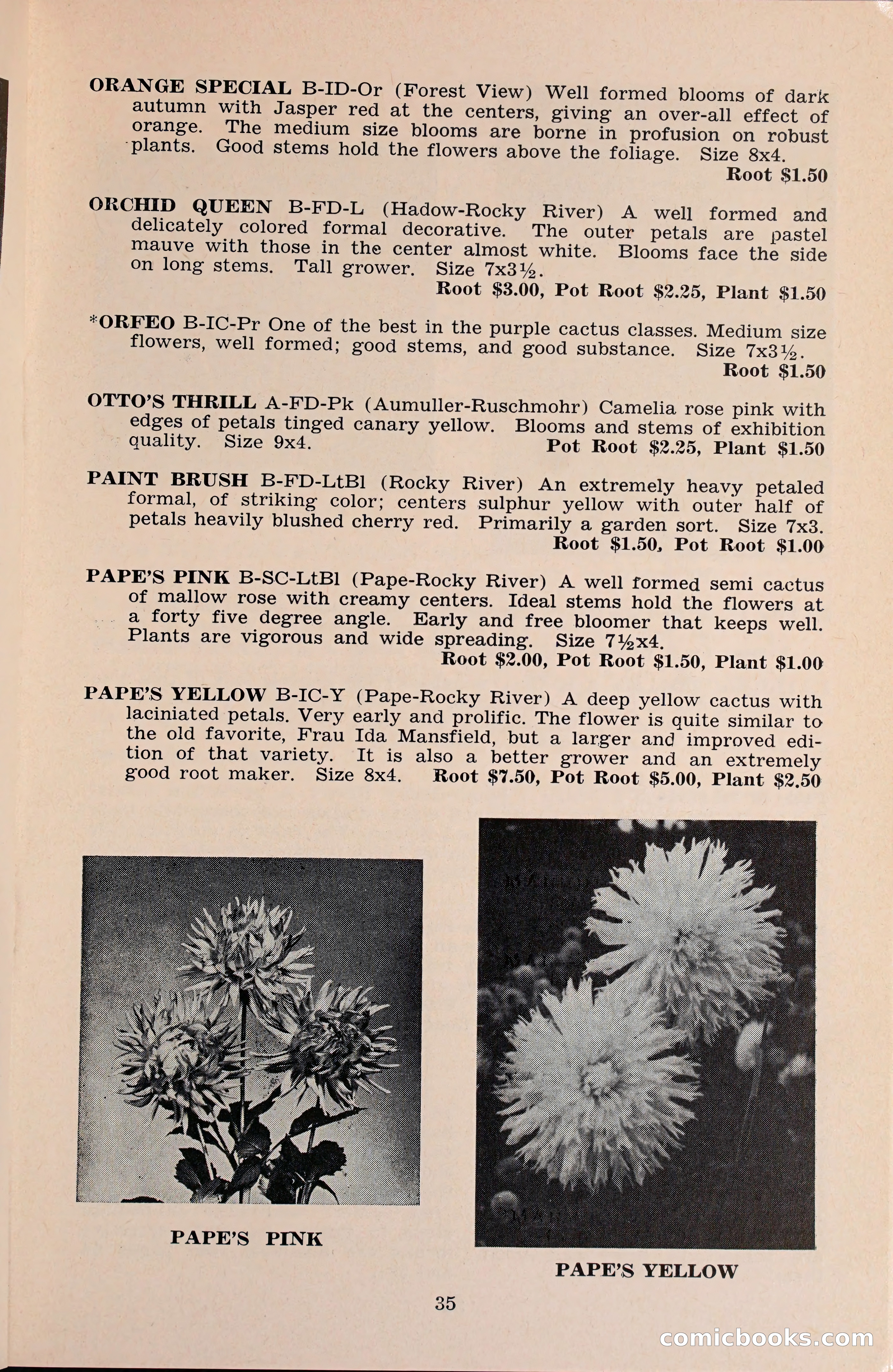 The Dahlia Blue Book for 1960 — page 38 of 69