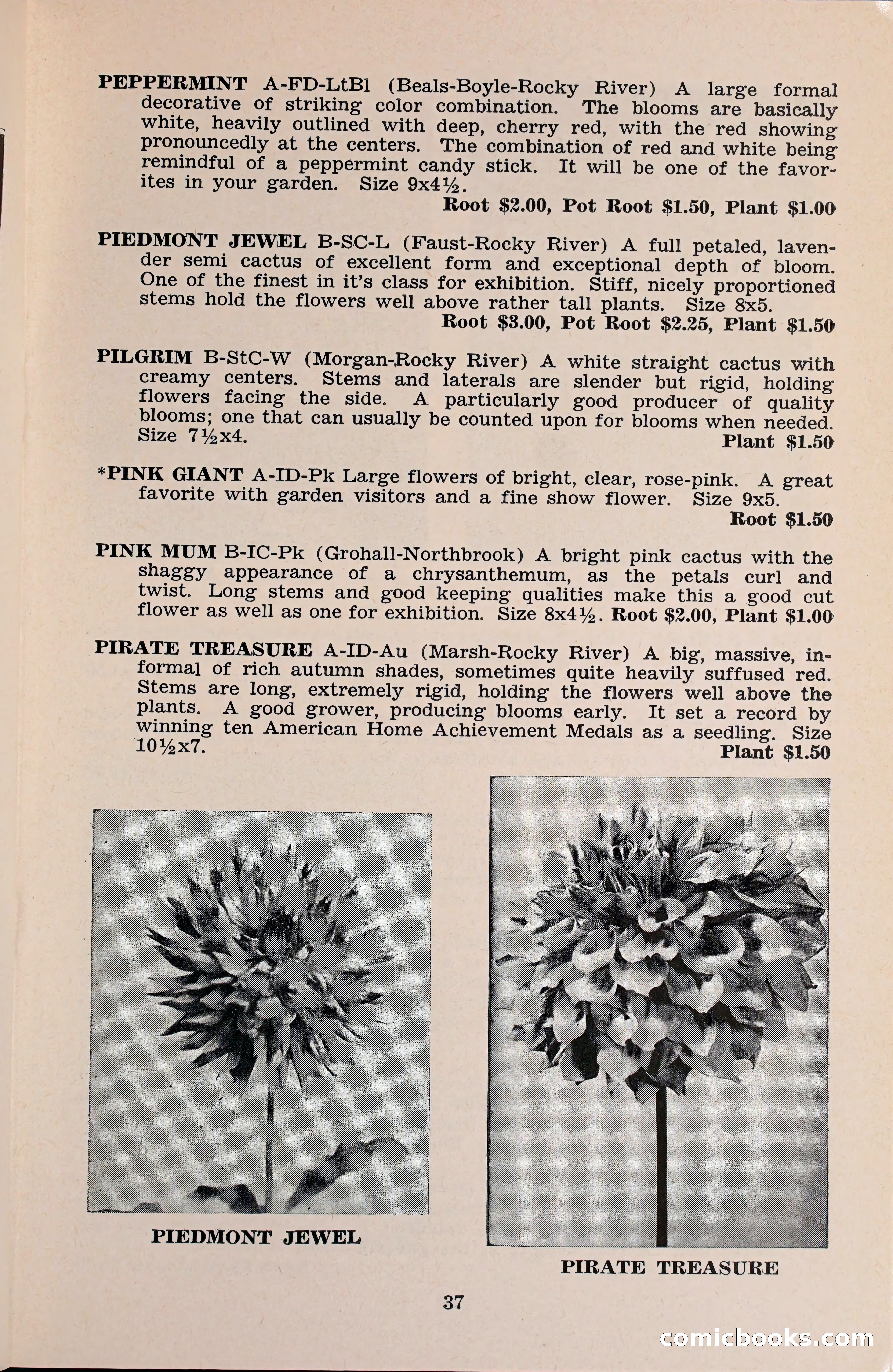 The Dahlia Blue Book for 1960 — page 40 of 69