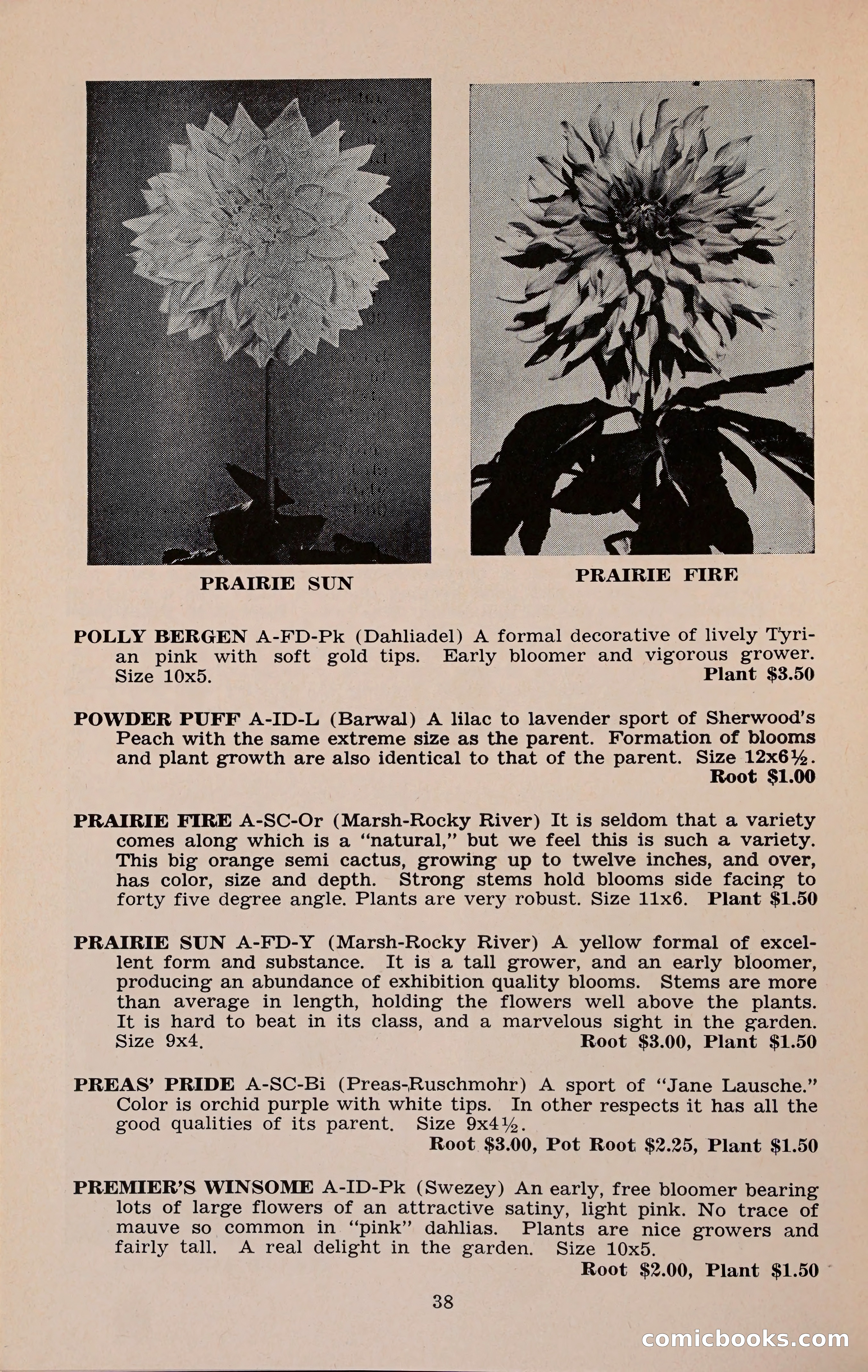 The Dahlia Blue Book for 1960 — page 41 of 69