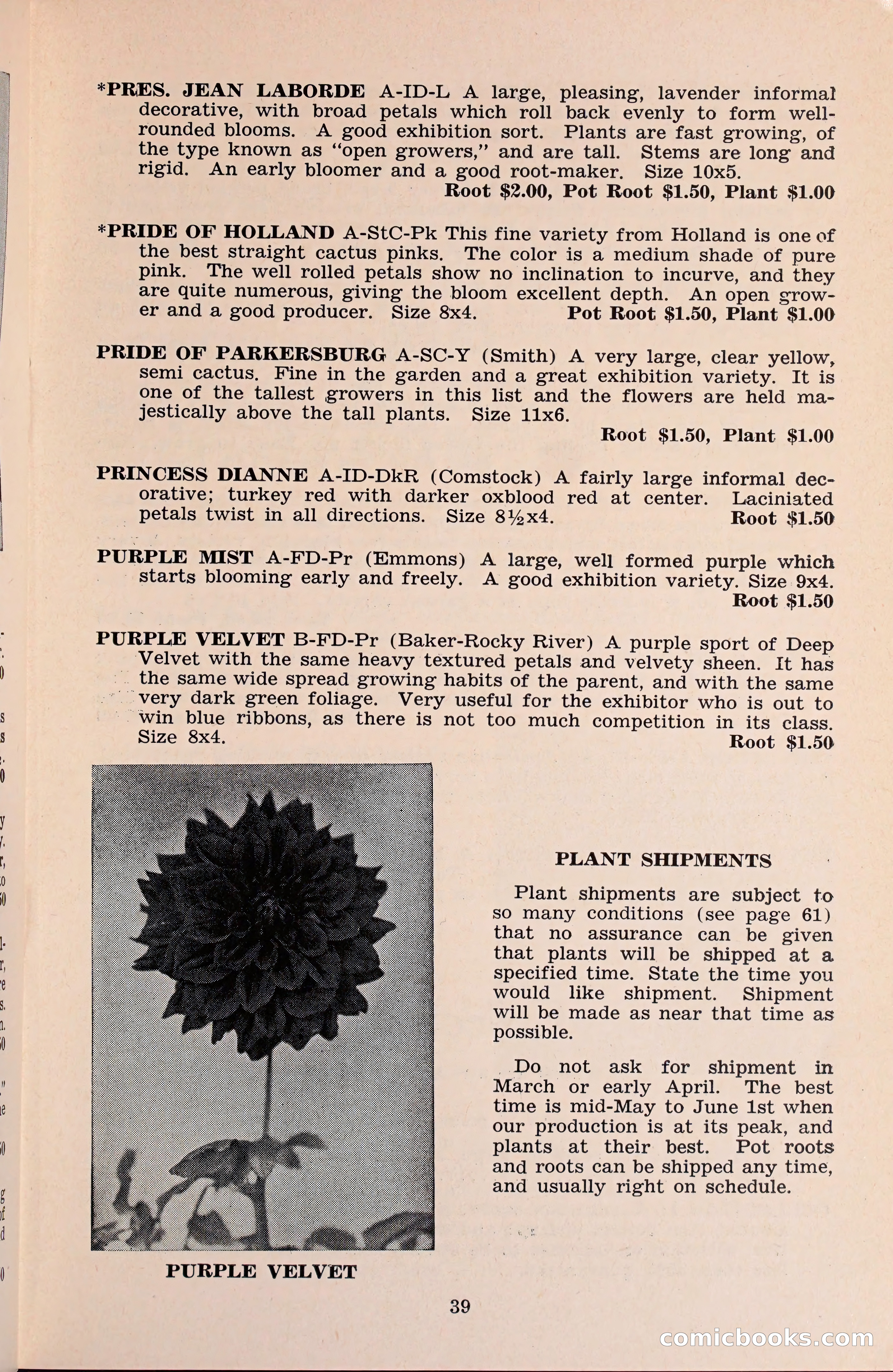 The Dahlia Blue Book for 1960 — page 42 of 69