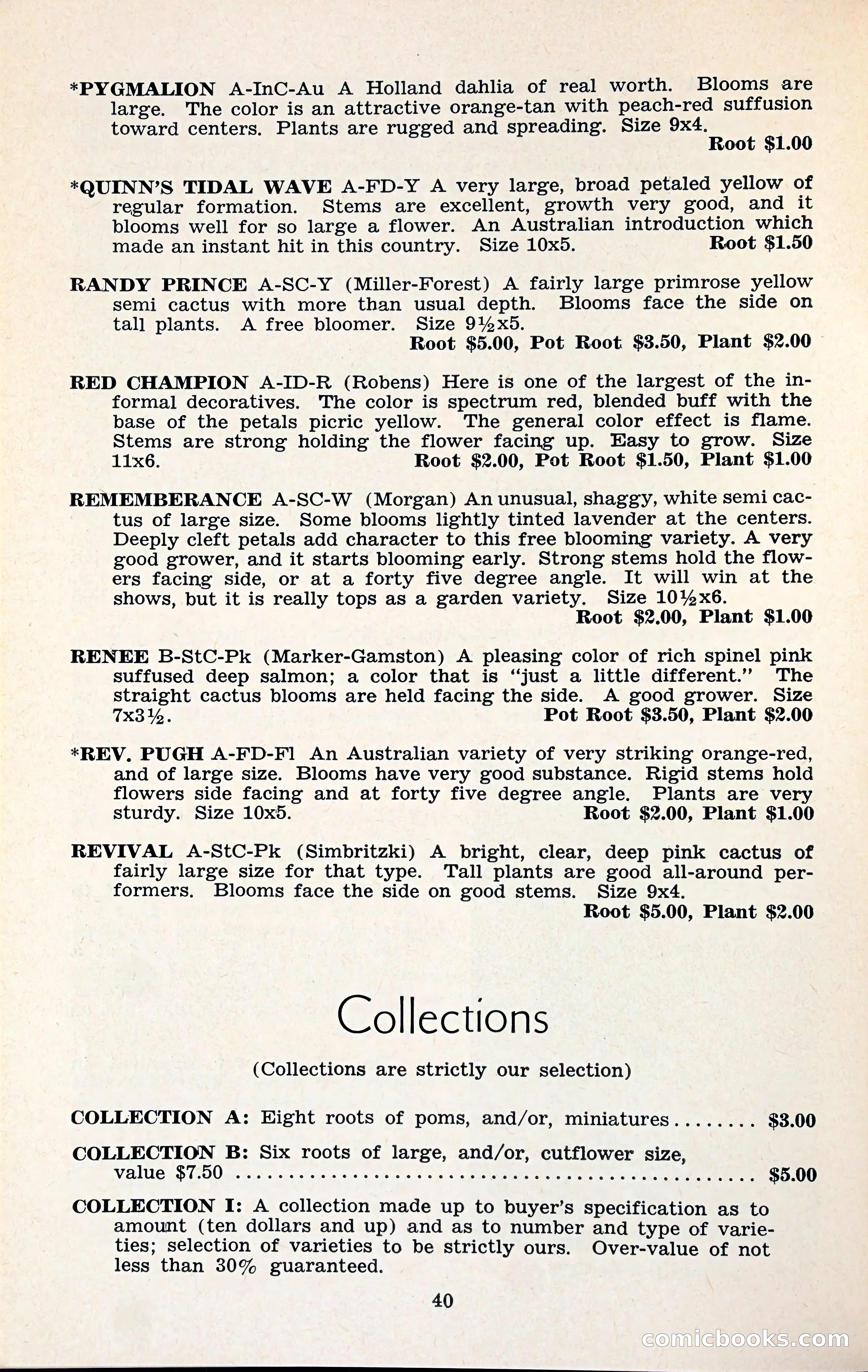 The Dahlia Blue Book for 1960 — page 43 of 69