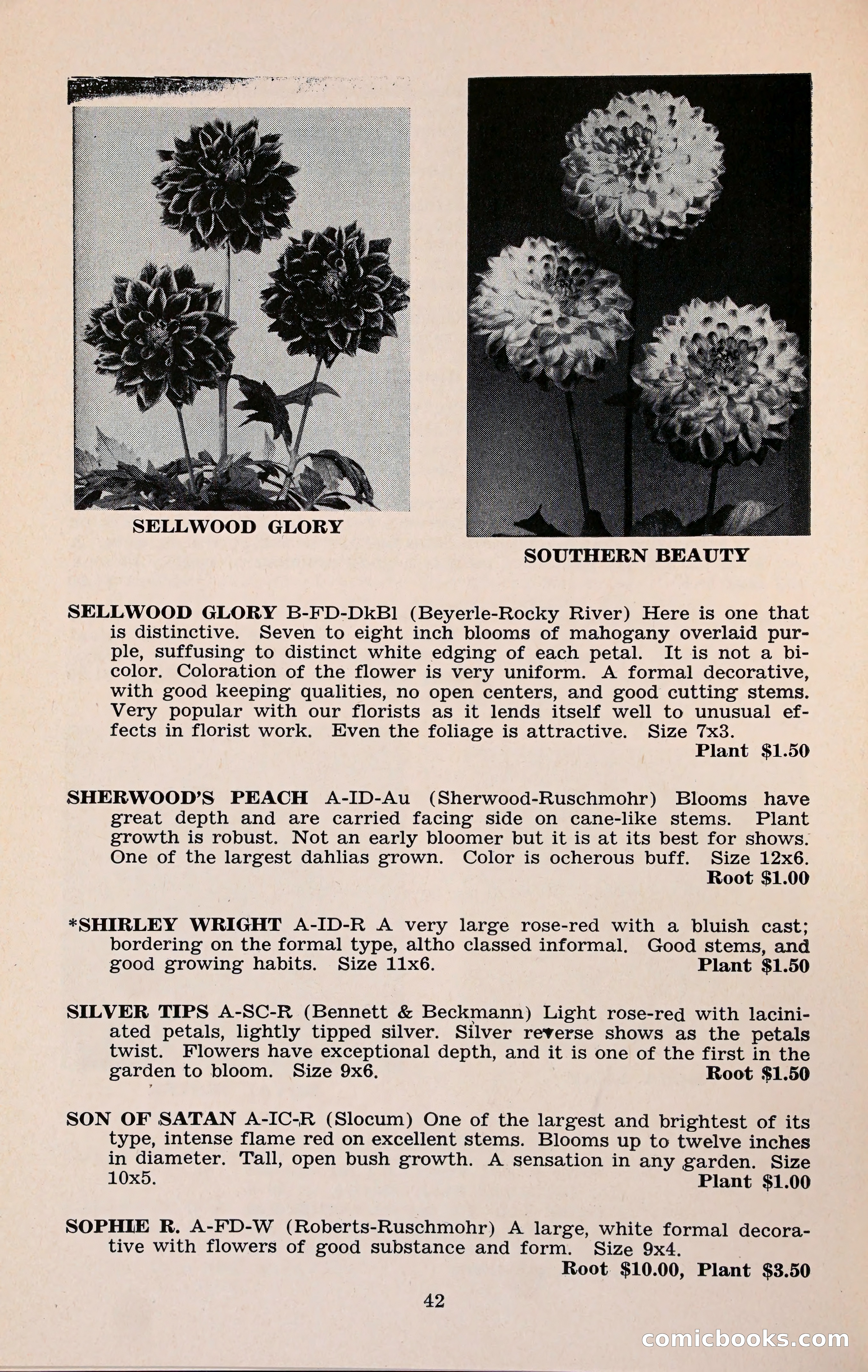 The Dahlia Blue Book for 1960 — page 45 of 69