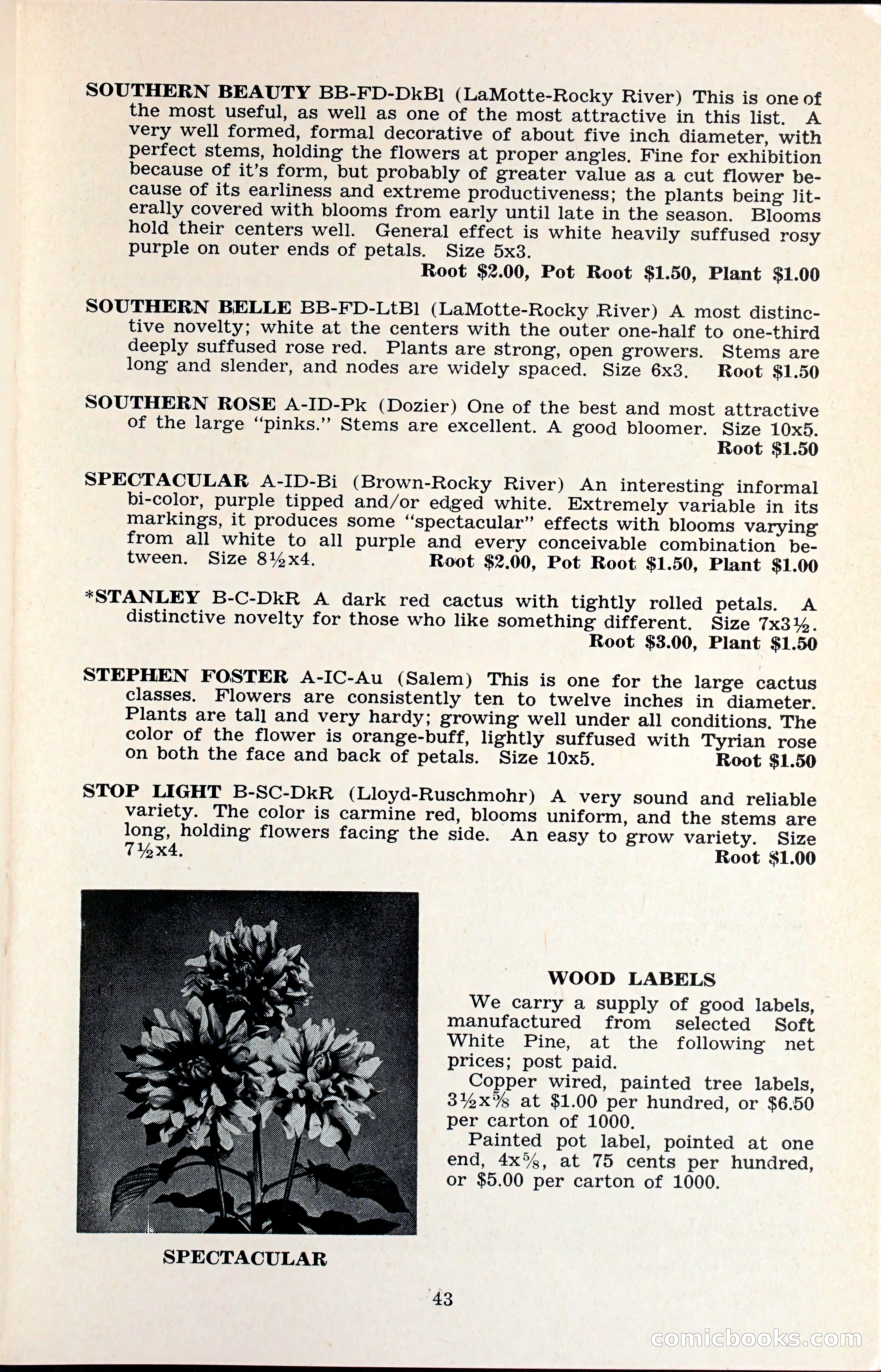 The Dahlia Blue Book for 1960 — page 46 of 69