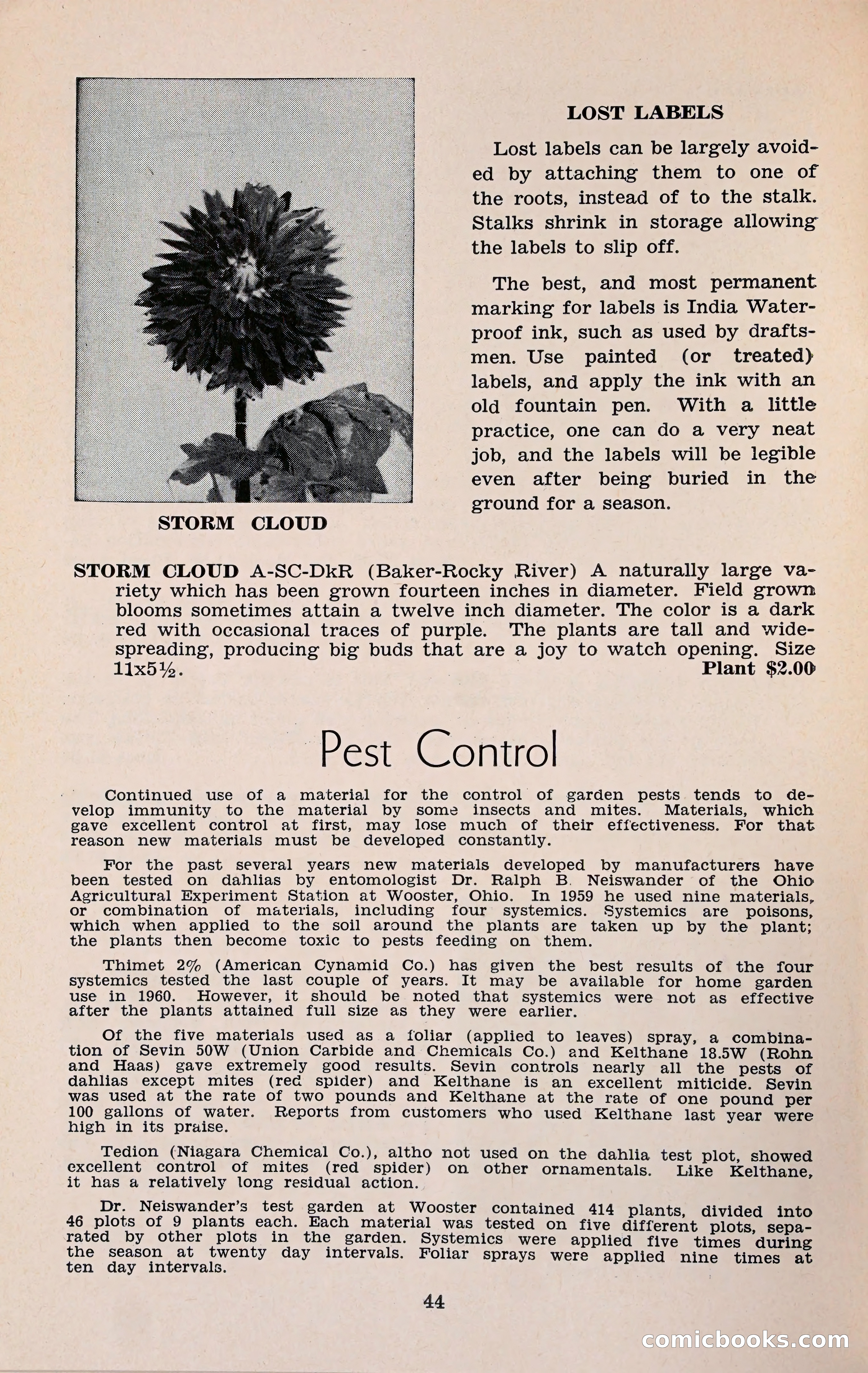 The Dahlia Blue Book for 1960 — page 47 of 69