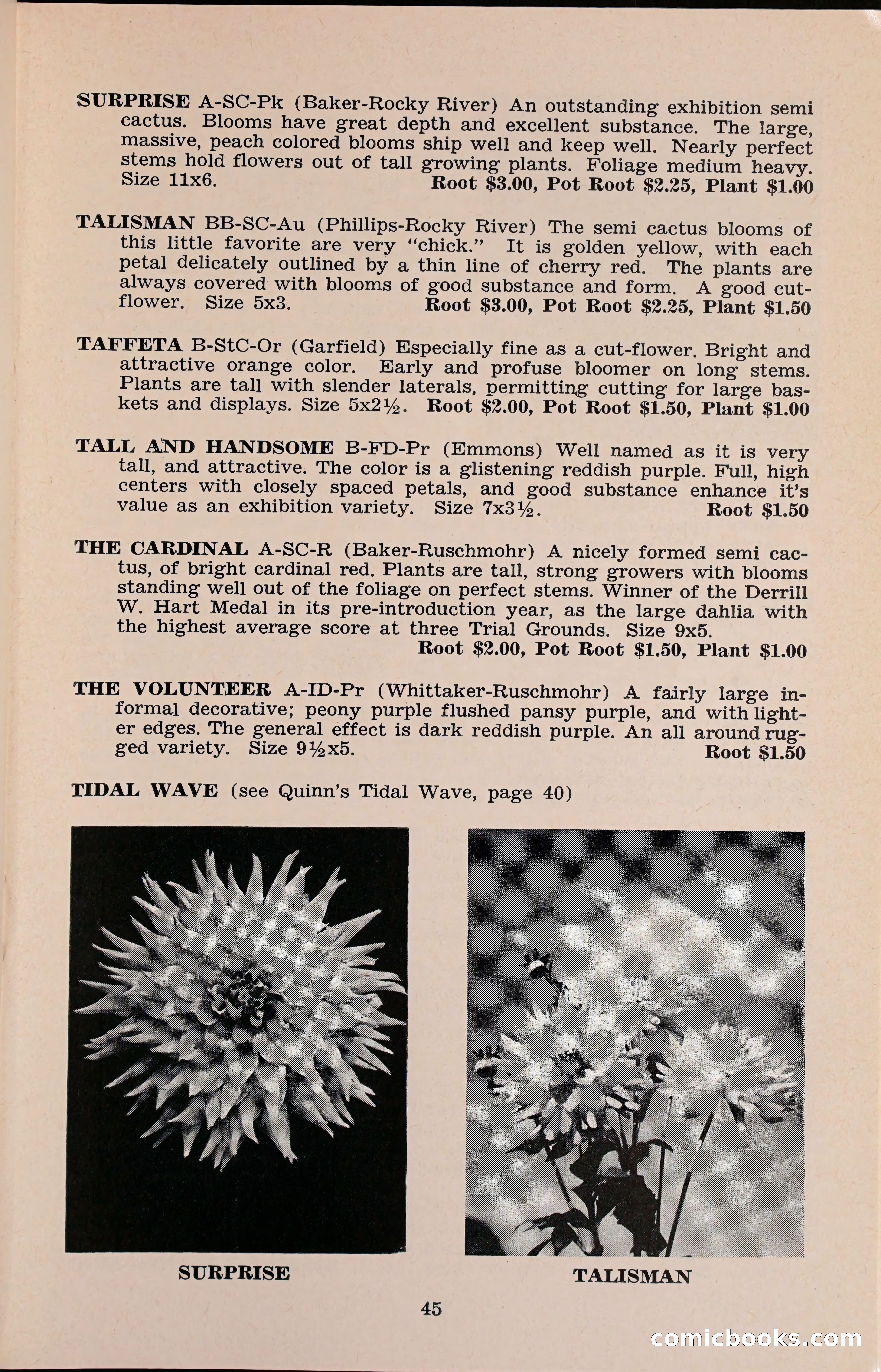 The Dahlia Blue Book for 1960 — page 48 of 69