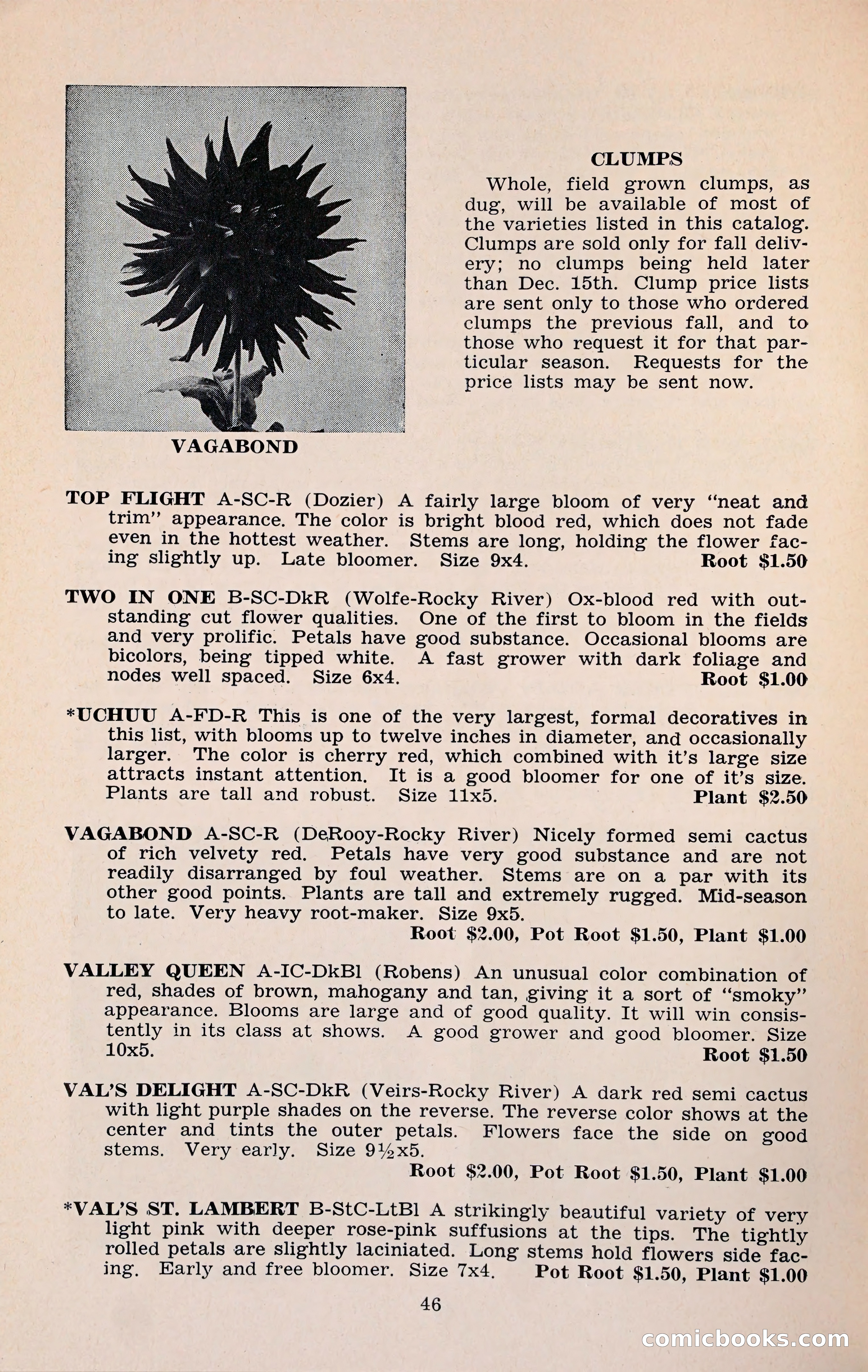 The Dahlia Blue Book for 1960 — page 49 of 69