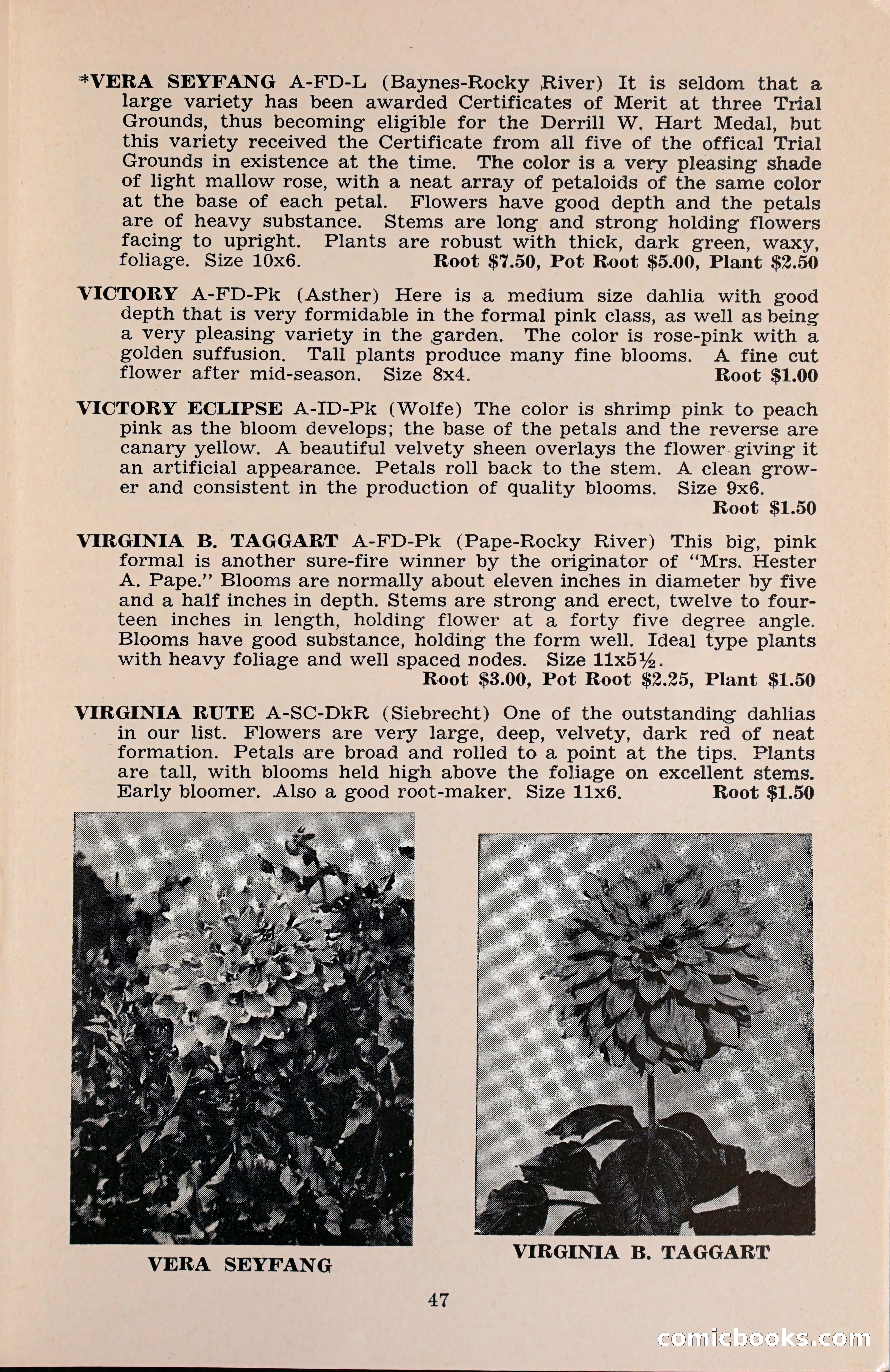 The Dahlia Blue Book for 1960 — page 50 of 69