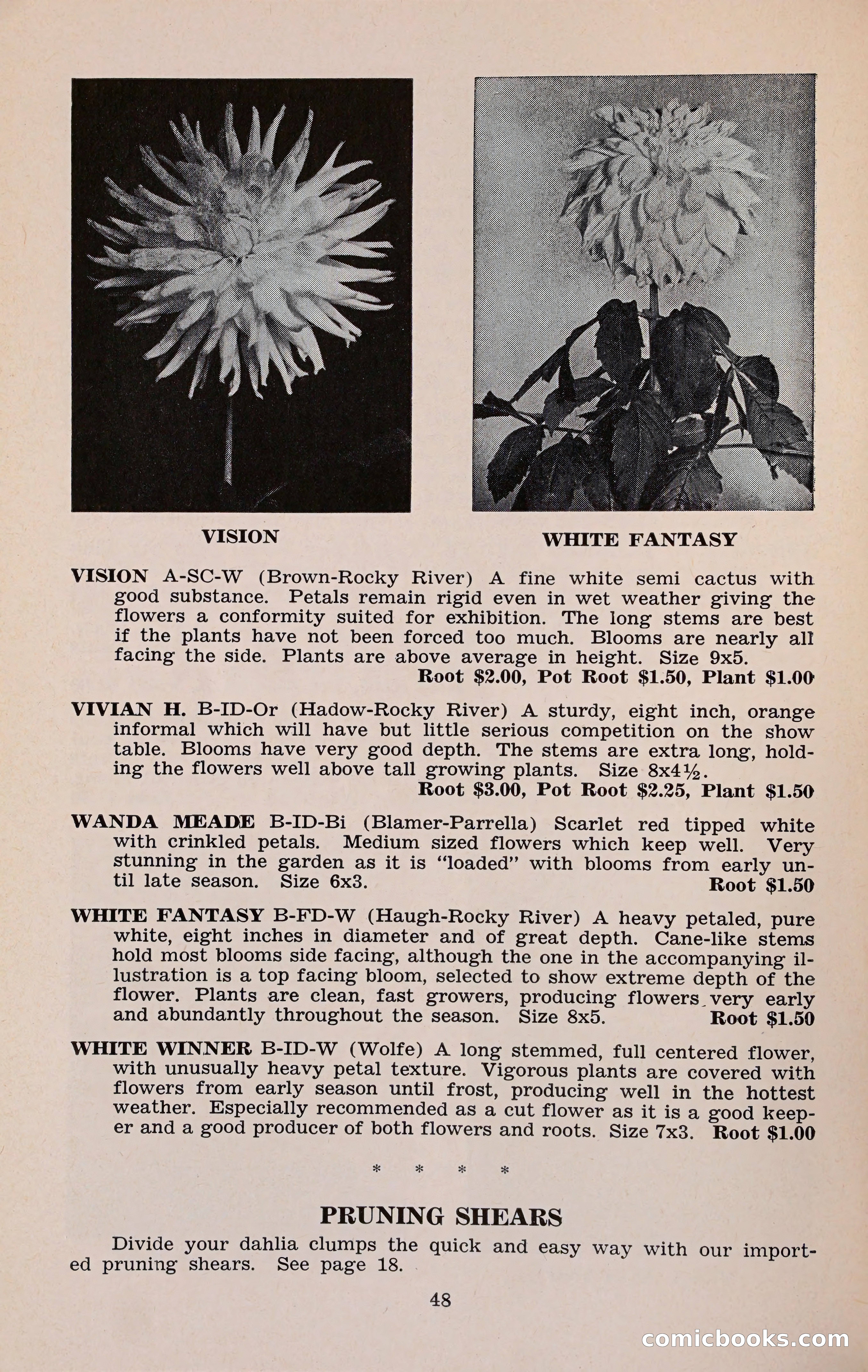 The Dahlia Blue Book for 1960 — page 51 of 69
