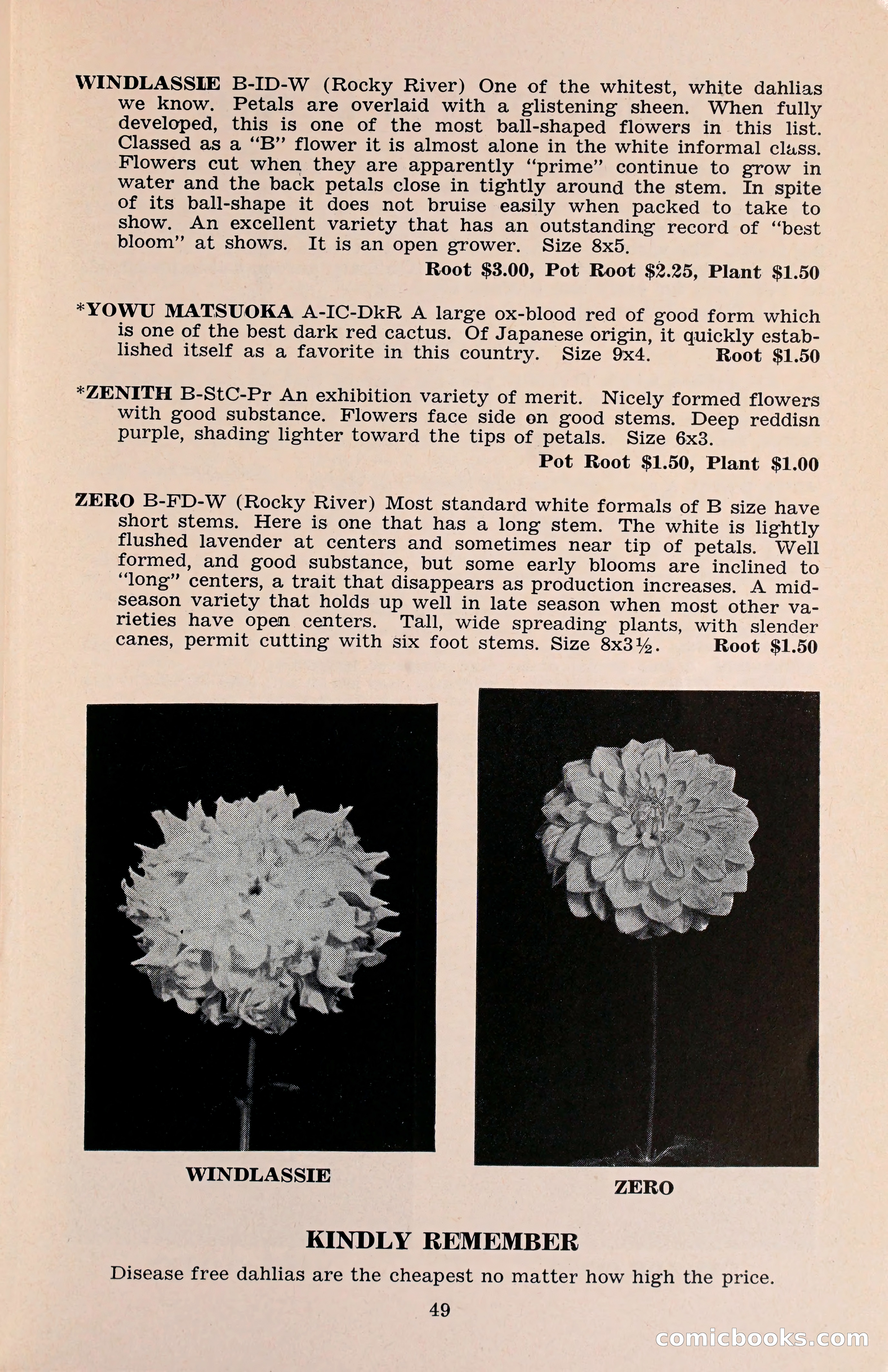 The Dahlia Blue Book for 1960 — page 52 of 69