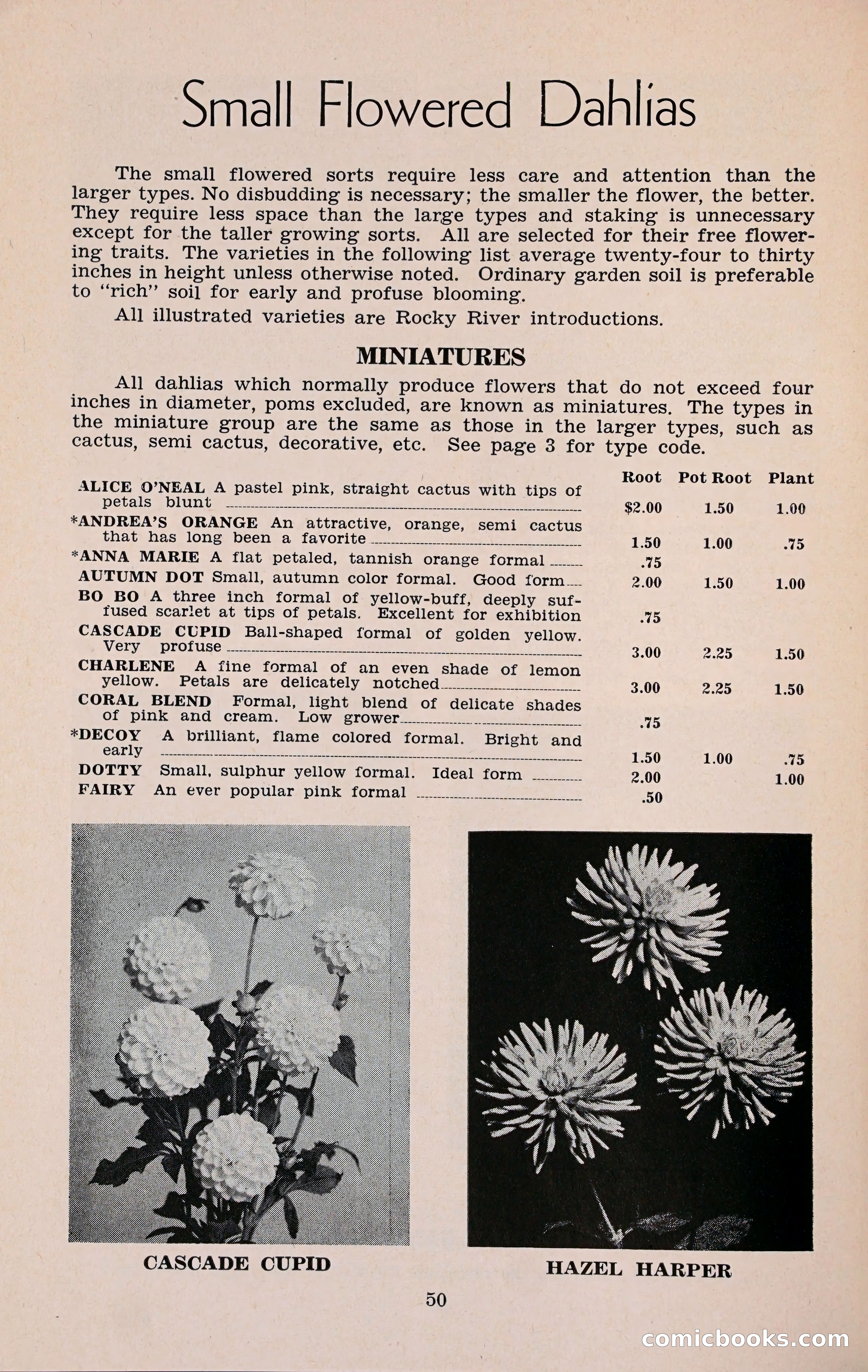 The Dahlia Blue Book for 1960 — page 53 of 69