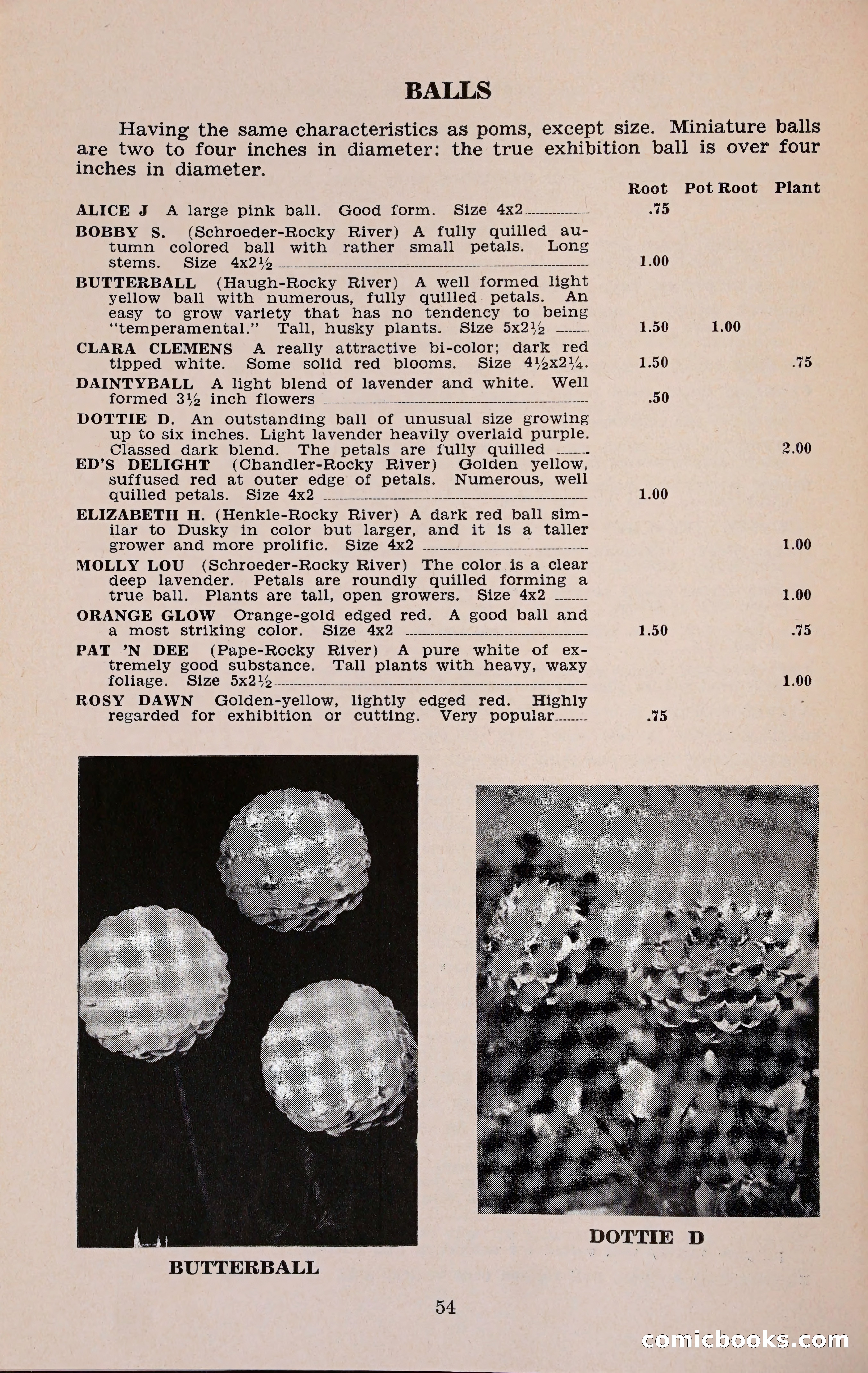 The Dahlia Blue Book for 1960 — page 57 of 69